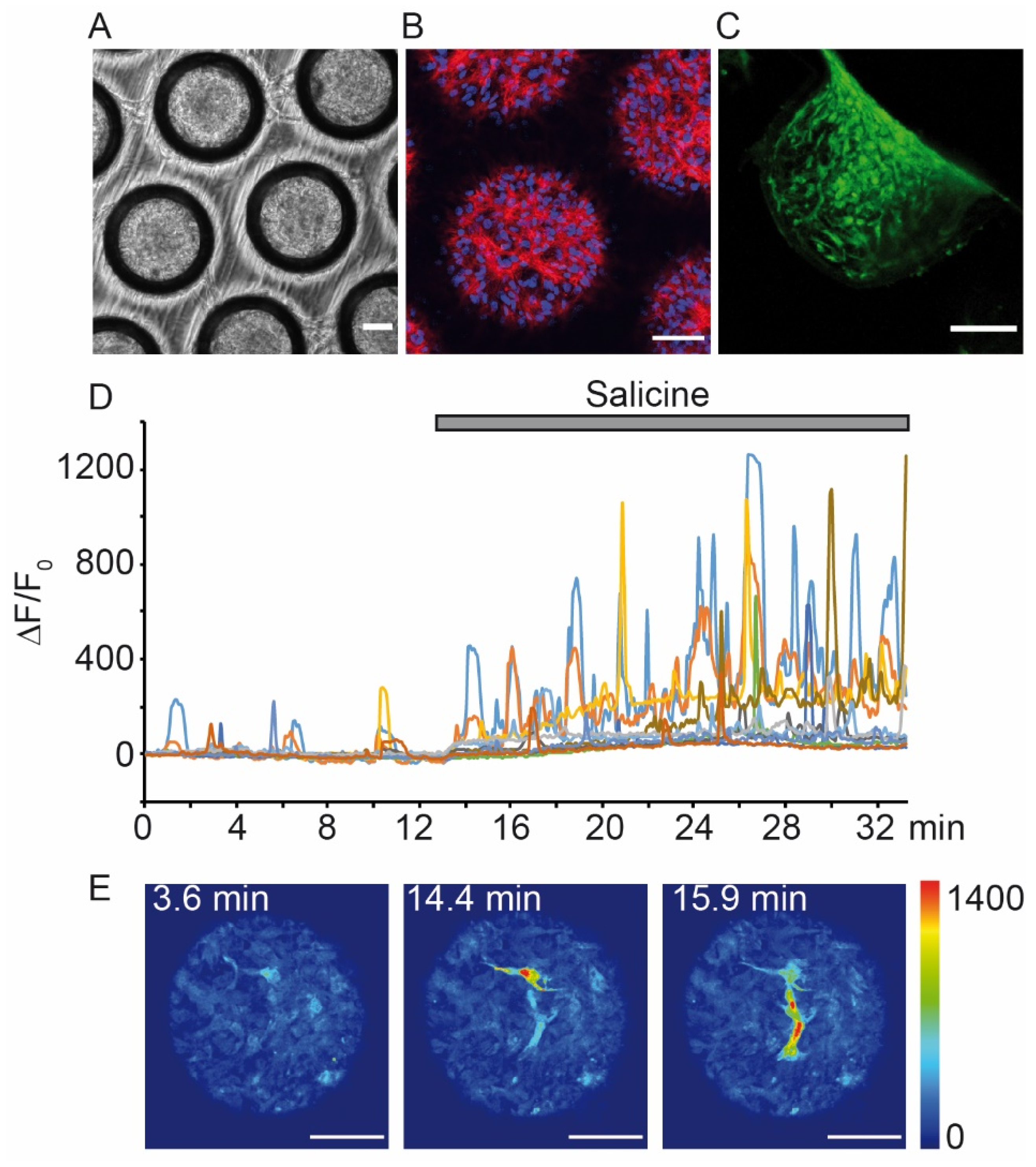 Sensors 20 01811 g004