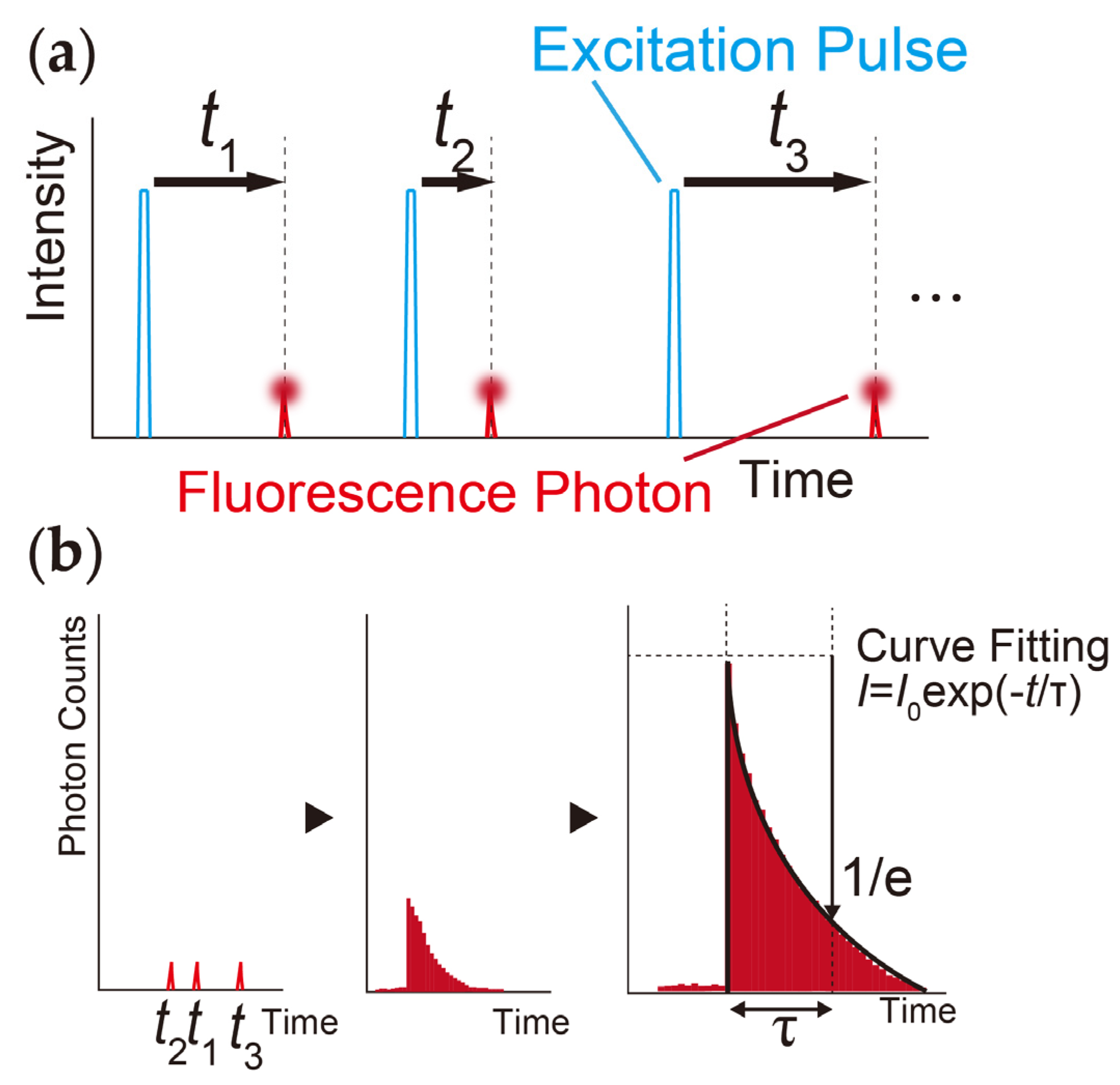 Sensors 20 01847 g002