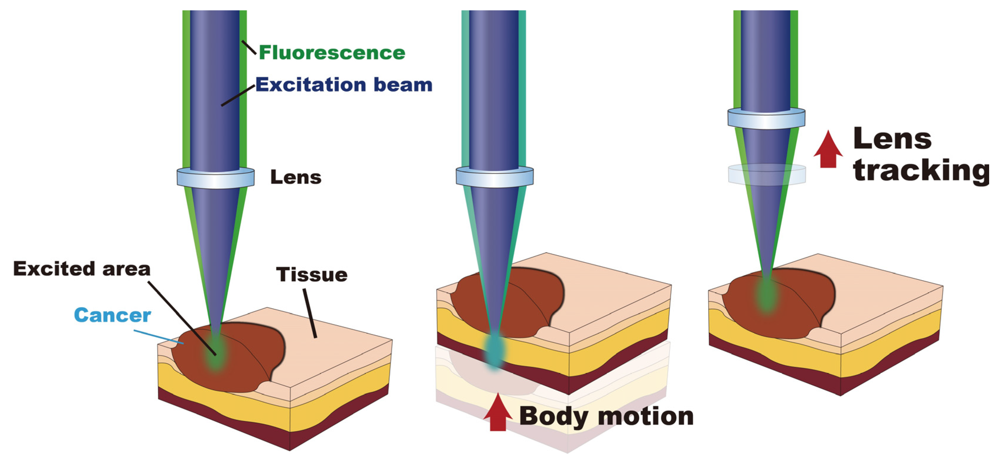 Sensors 20 01847 g003