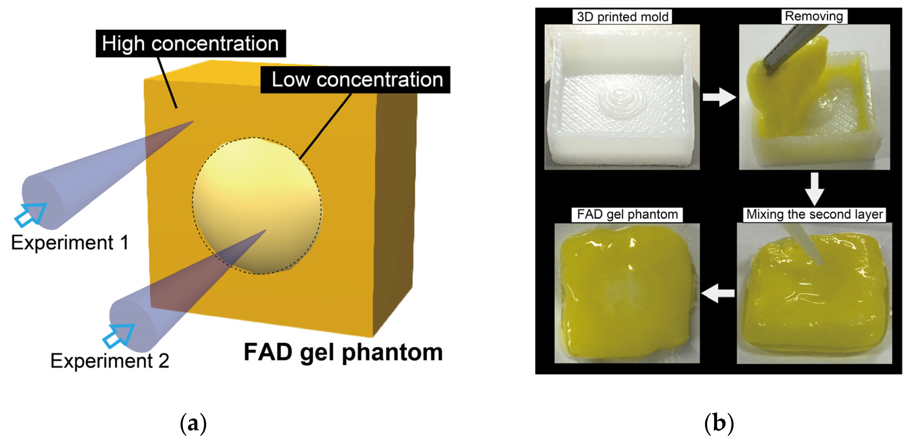 Sensors 20 01847 g011