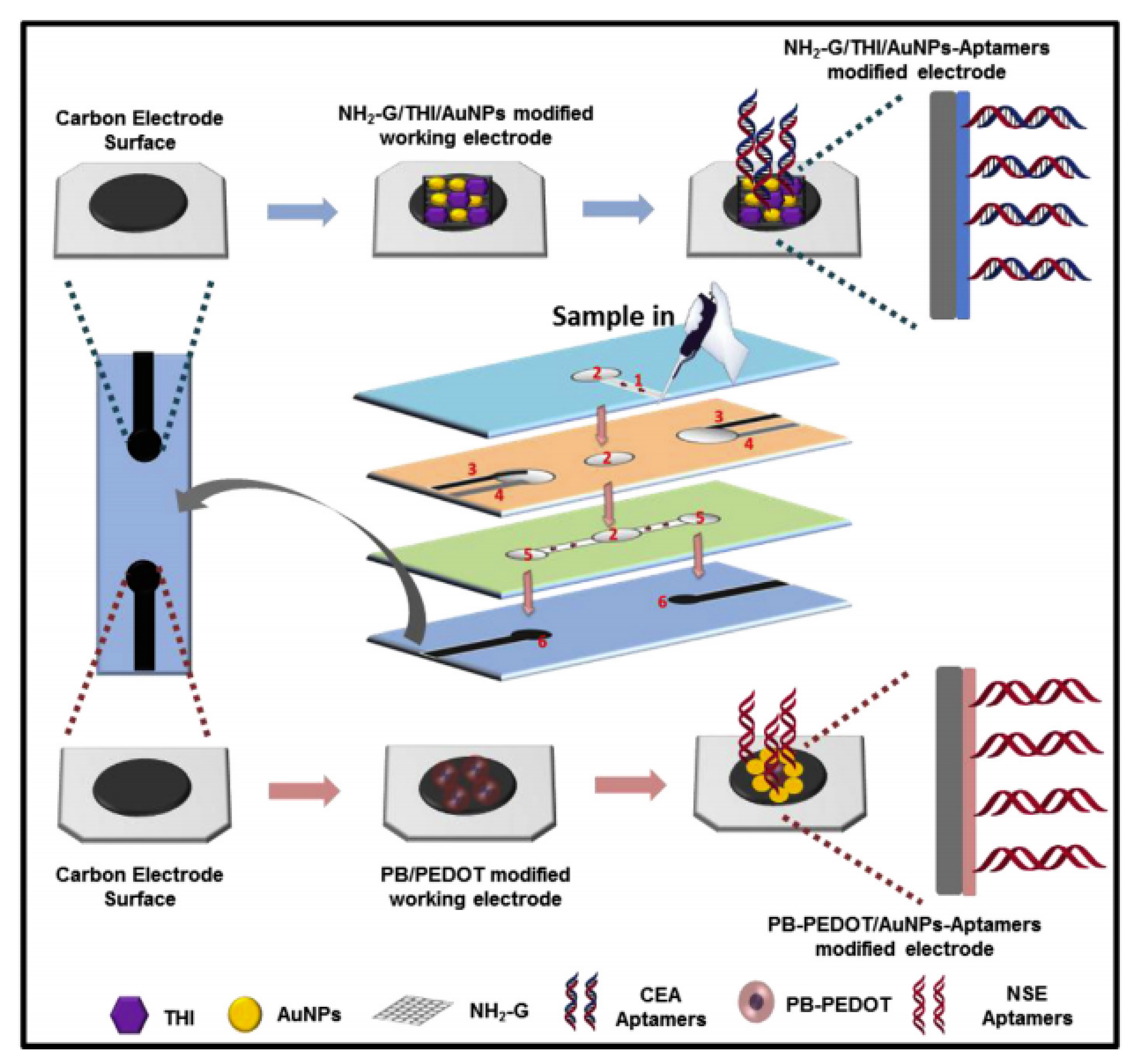 Sensors 20 01854 g005