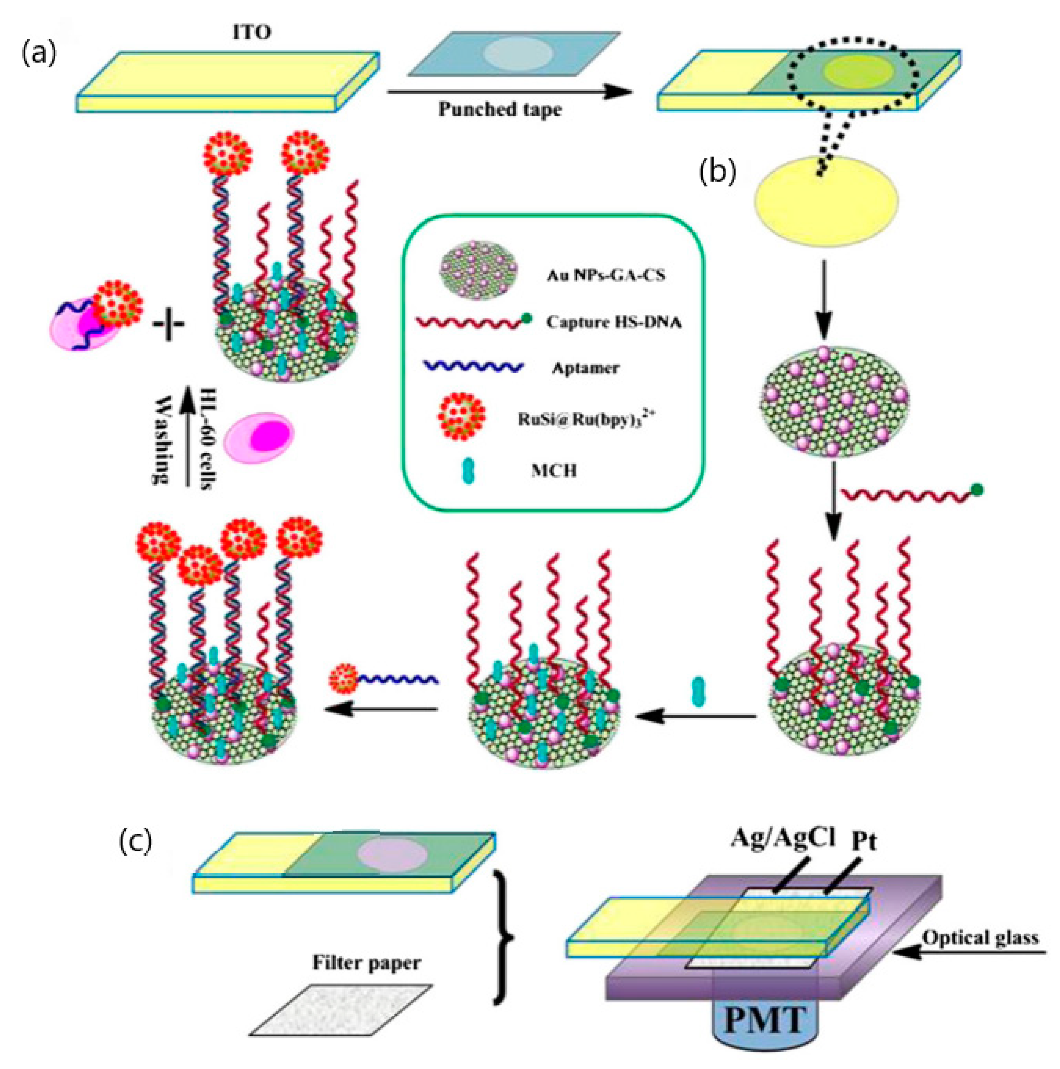 Sensors 20 01854 g008