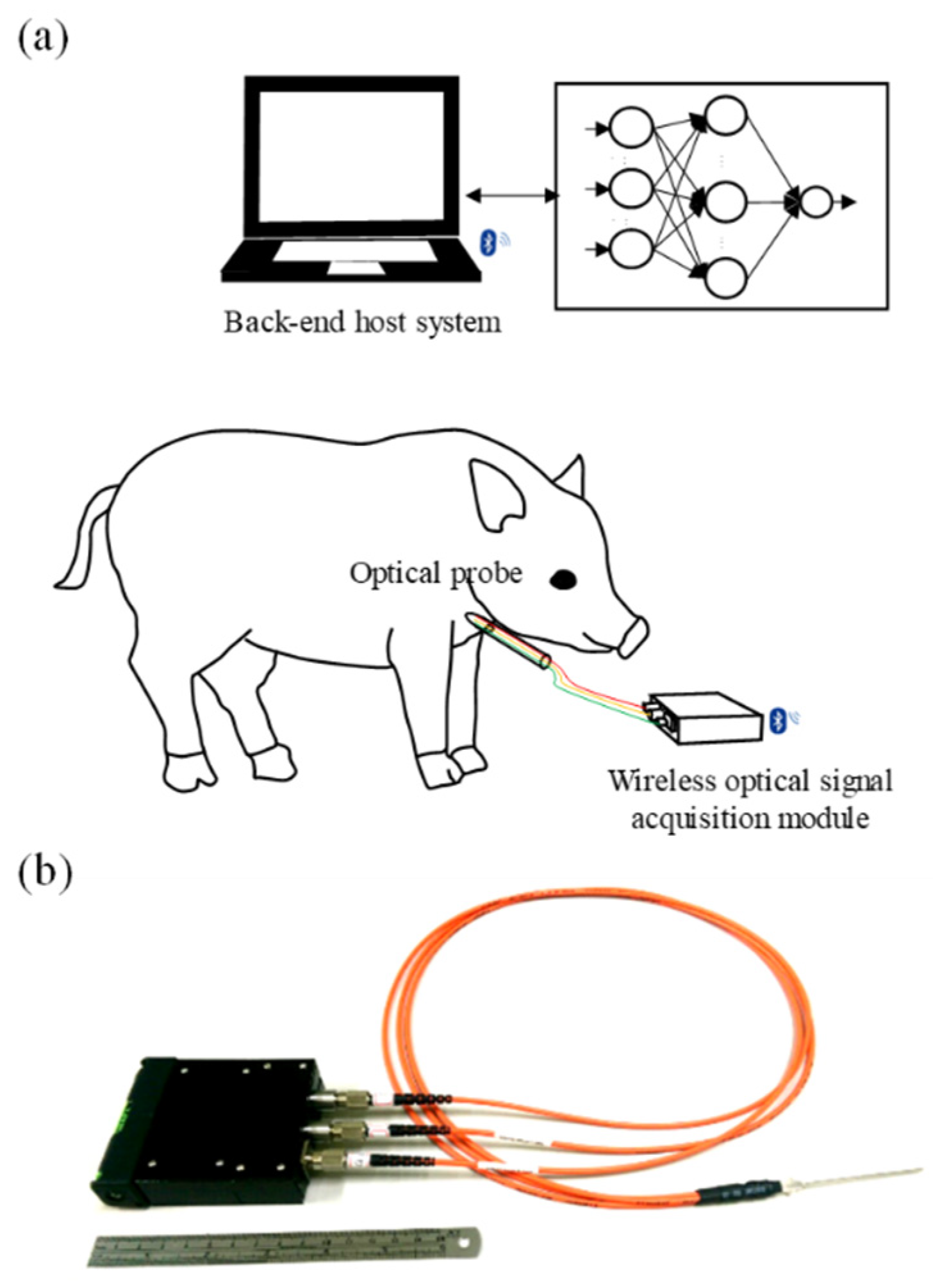 Sensors 20 01891 g001