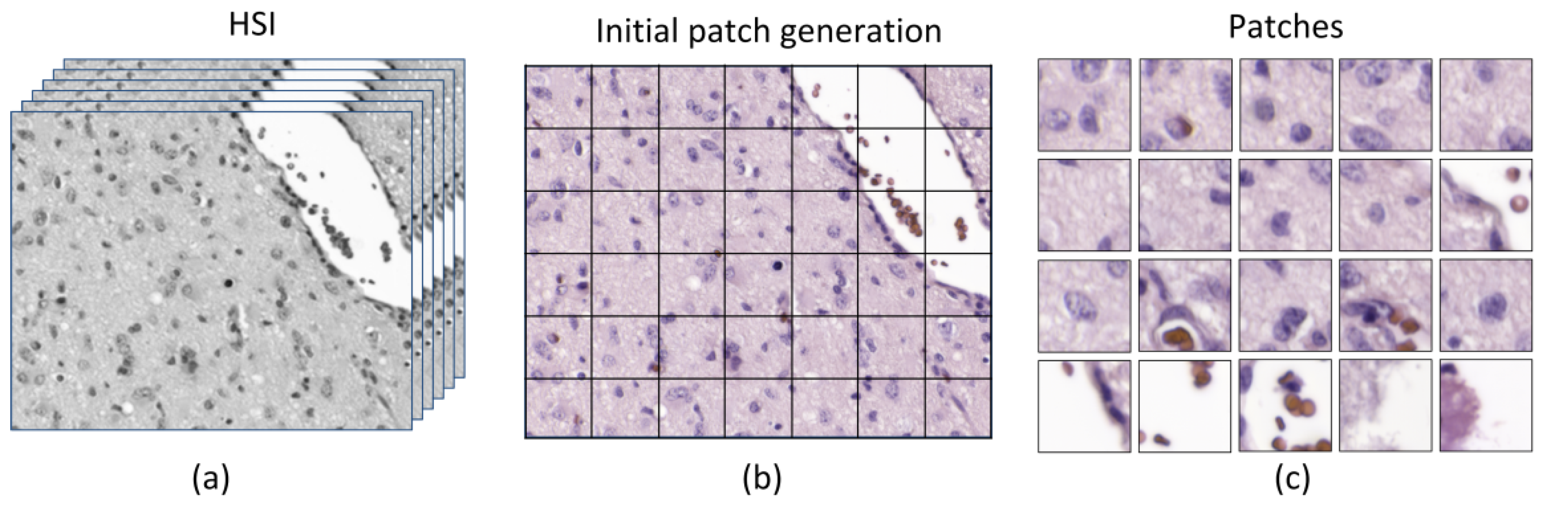 Sensors 20 01911 g004