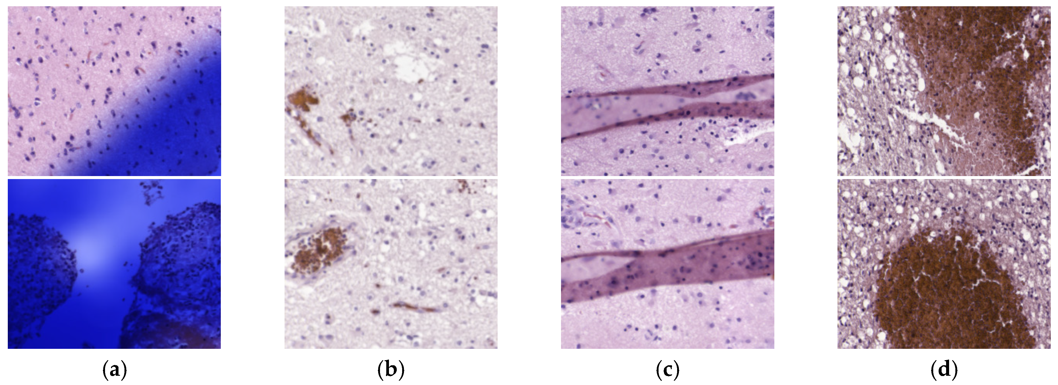 Sensors 20 01911 g005