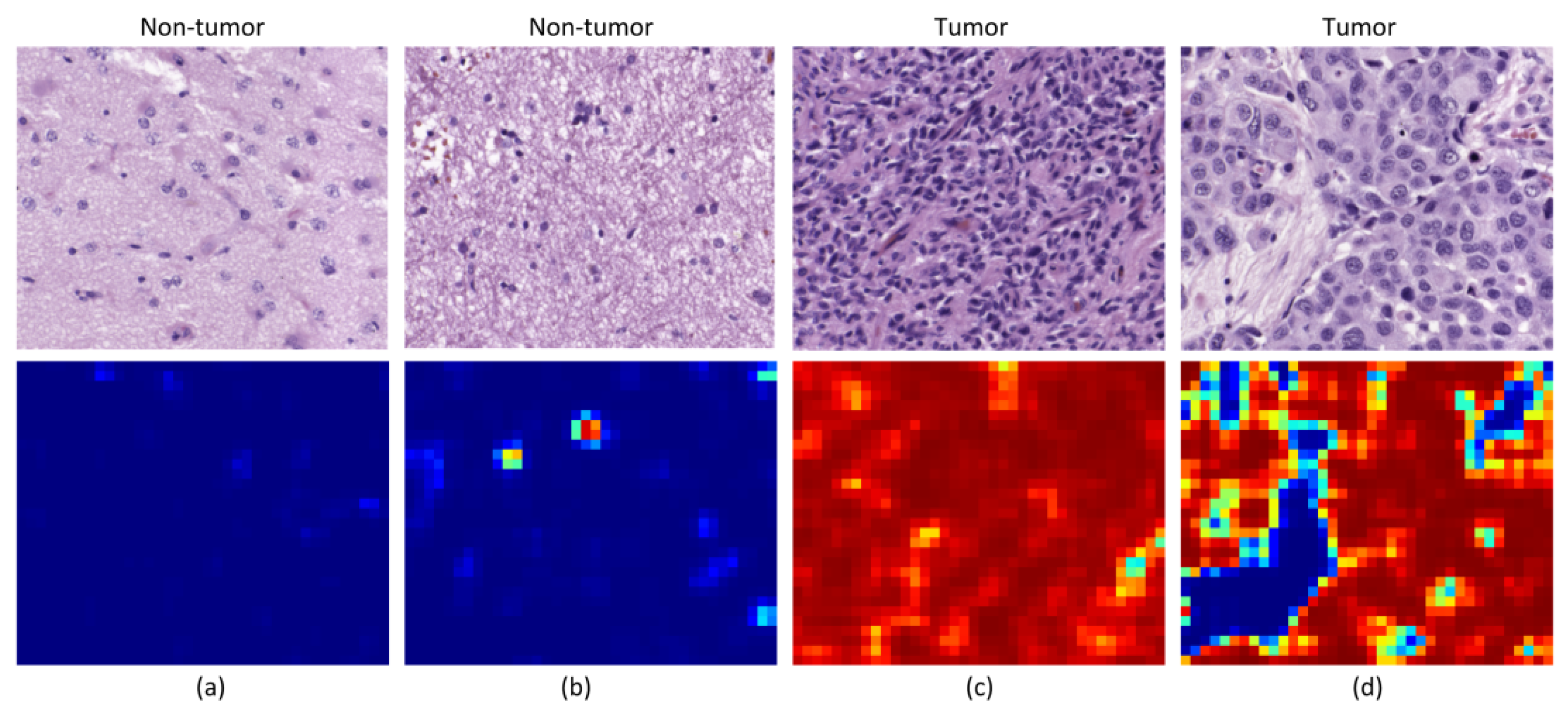 Sensors 20 01911 g007