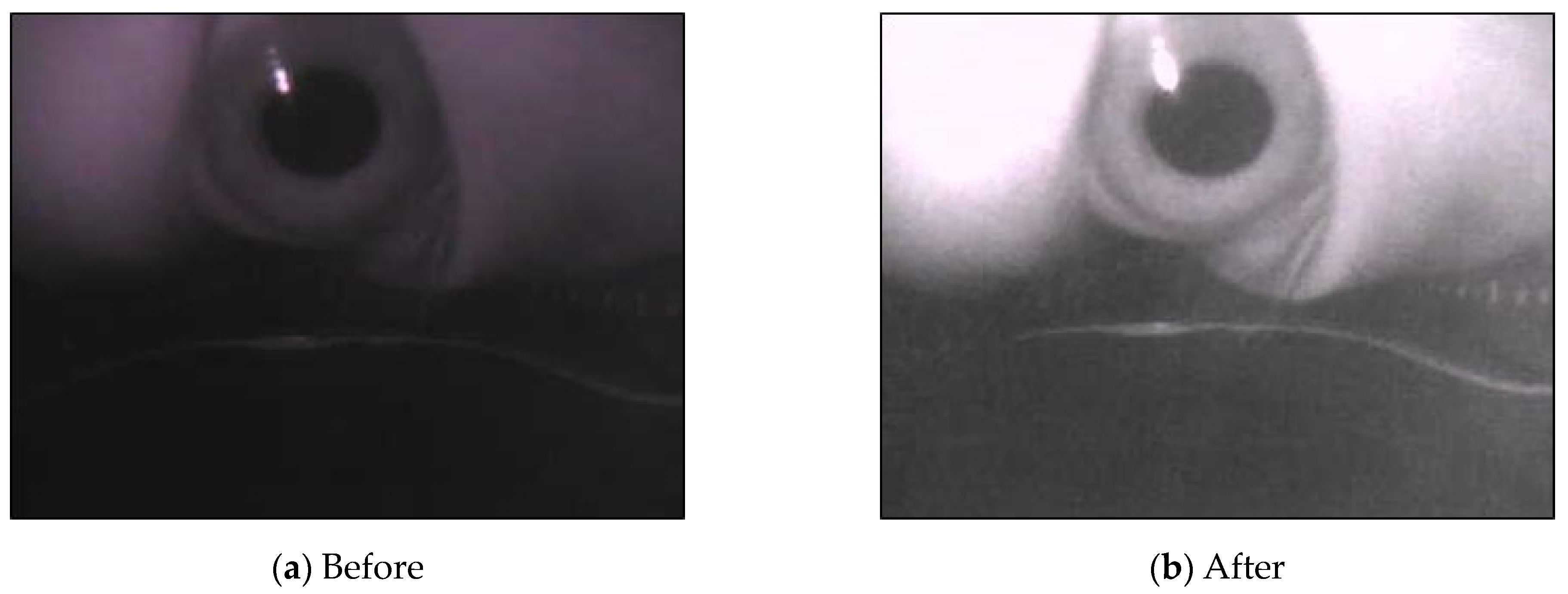 Sensors 20 01917 g010