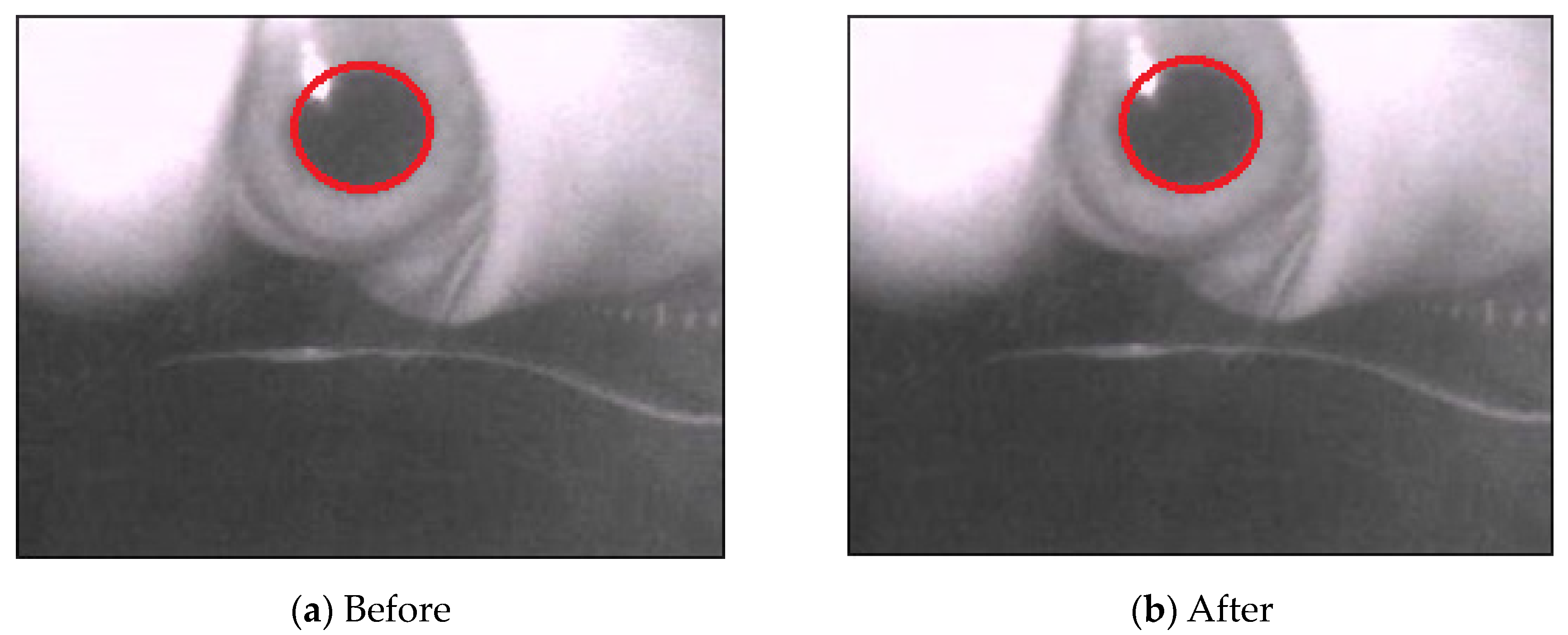 Sensors 20 01917 g012