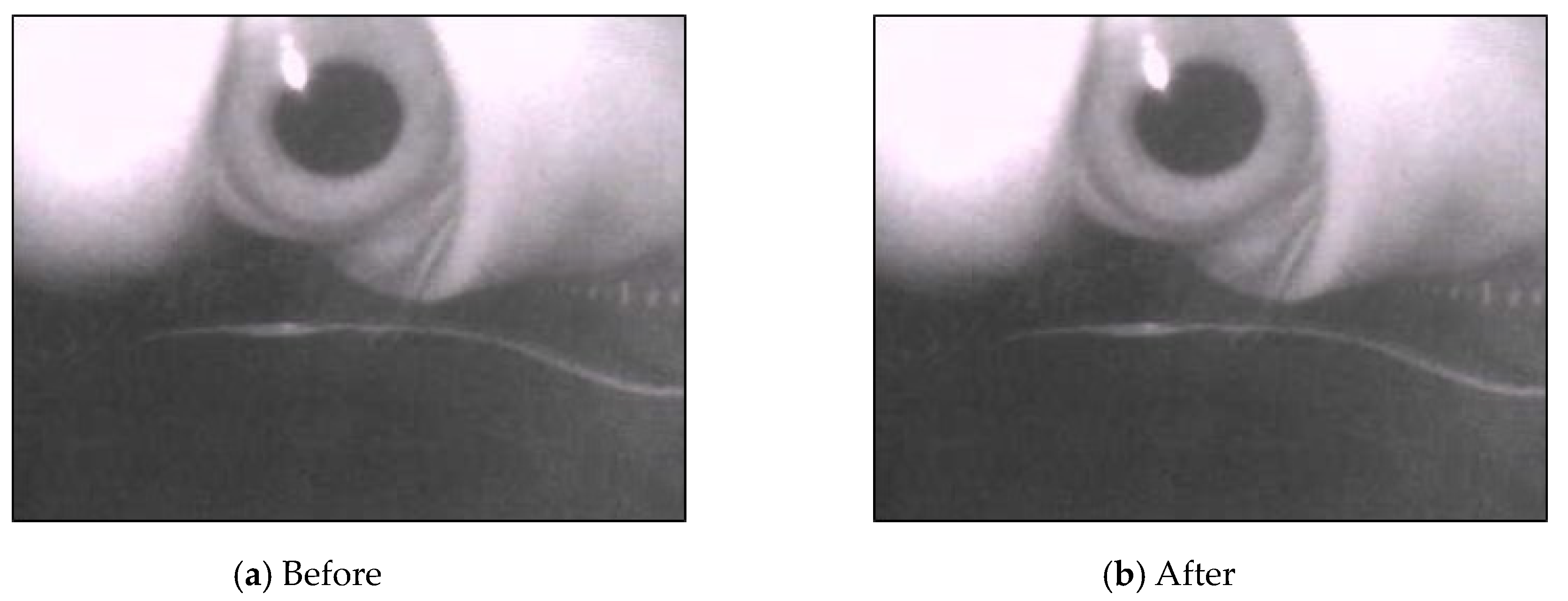 Sensors 20 01917 g013