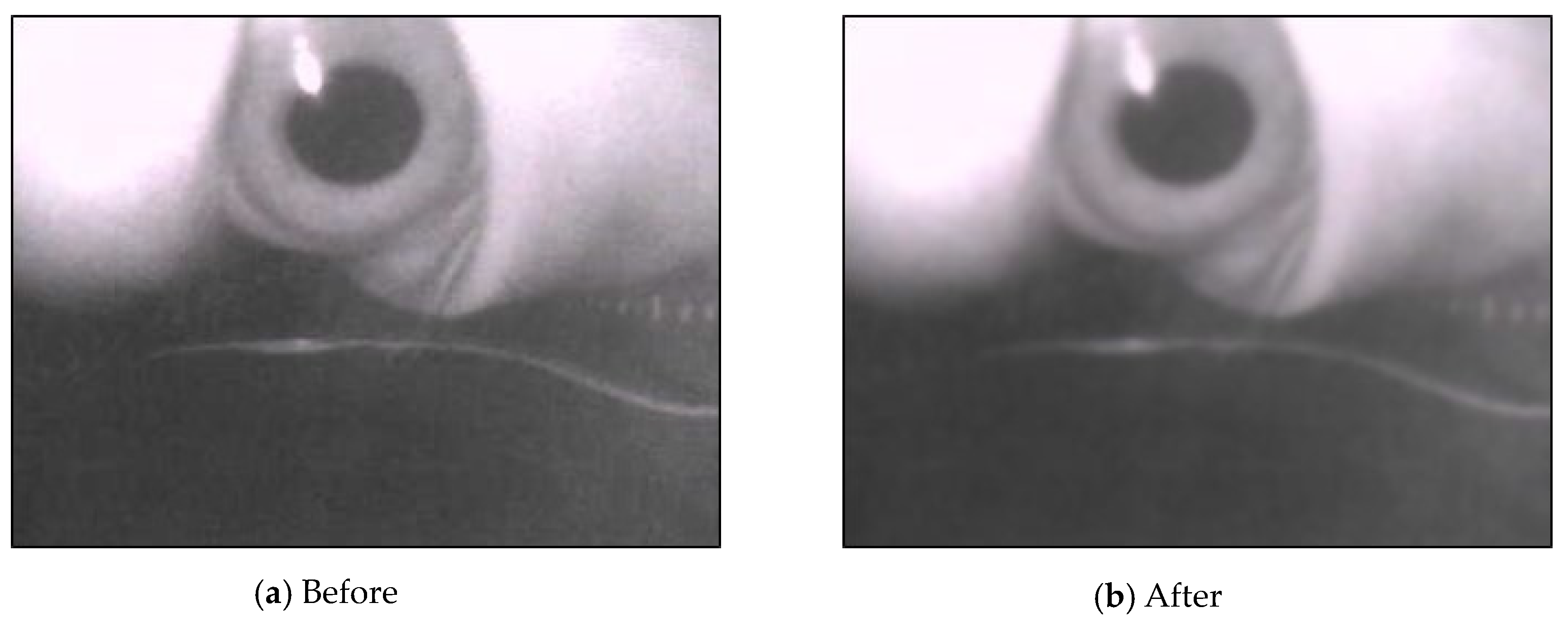 Sensors 20 01917 g014