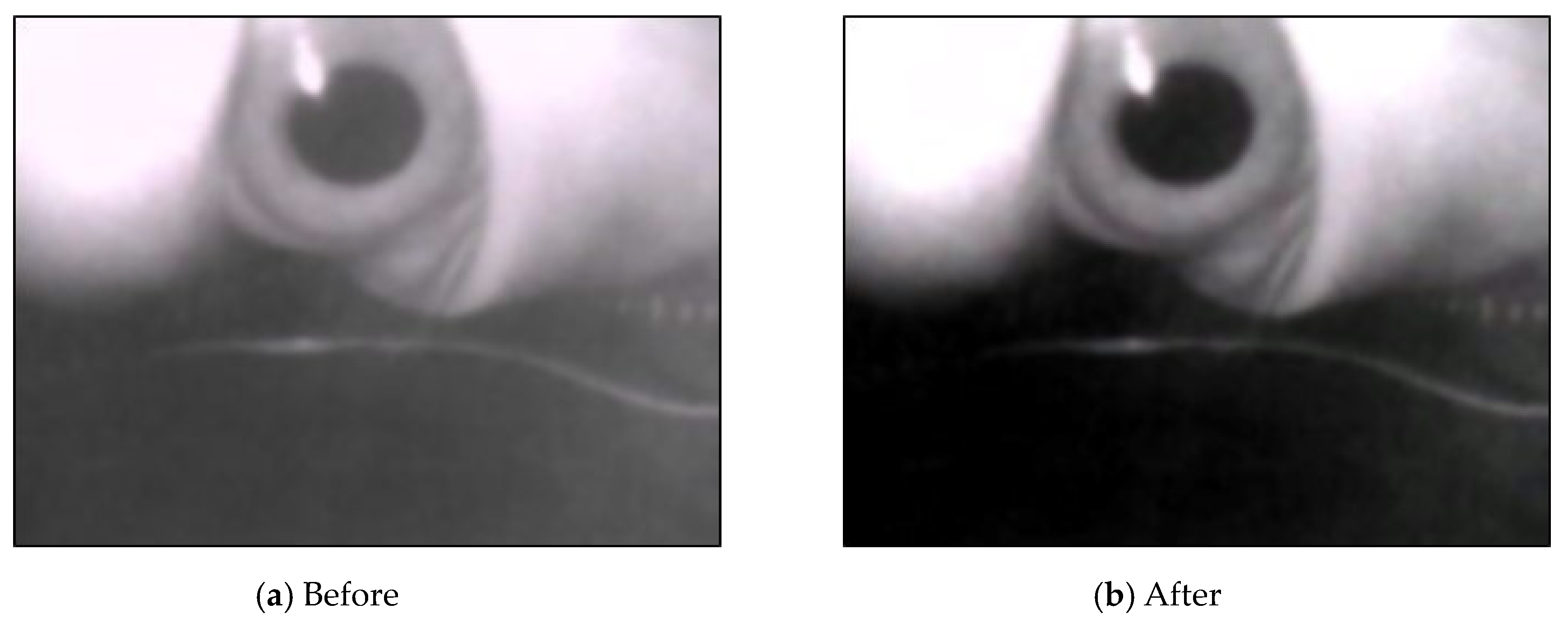 Sensors 20 01917 g015