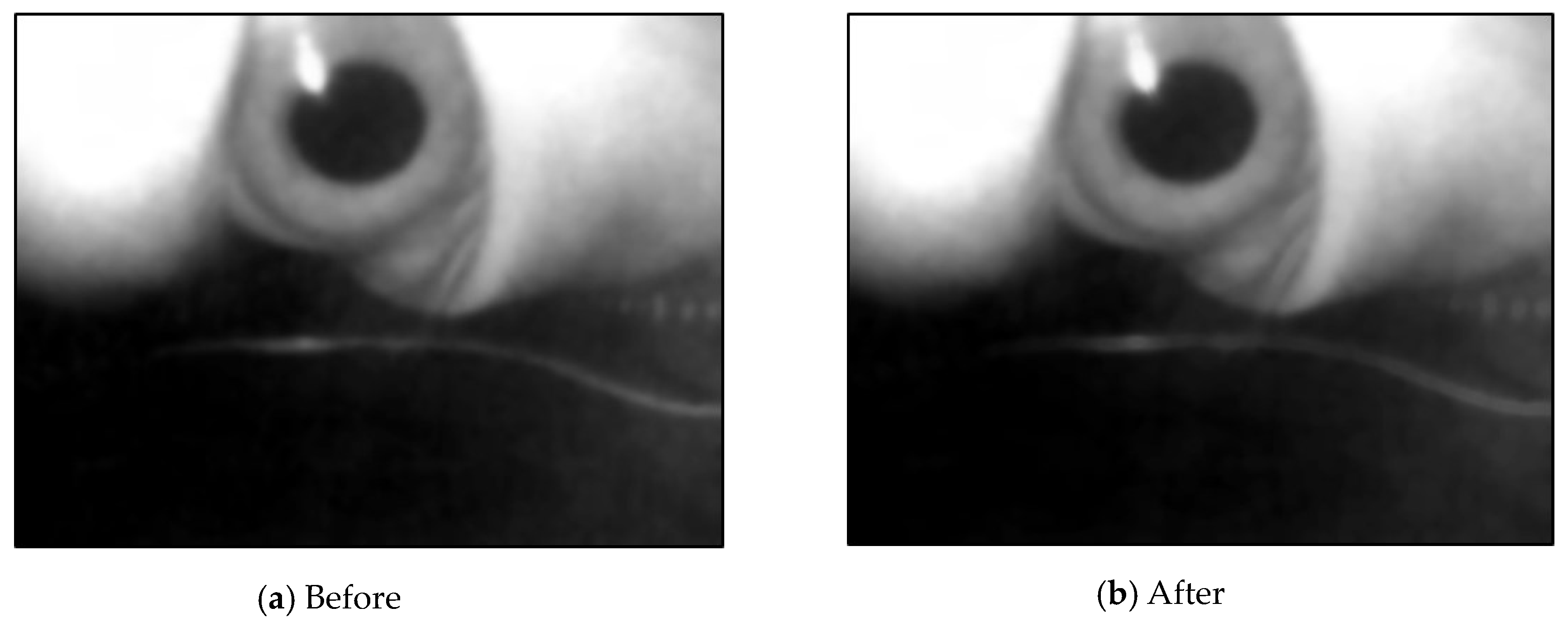 Sensors 20 01917 g016