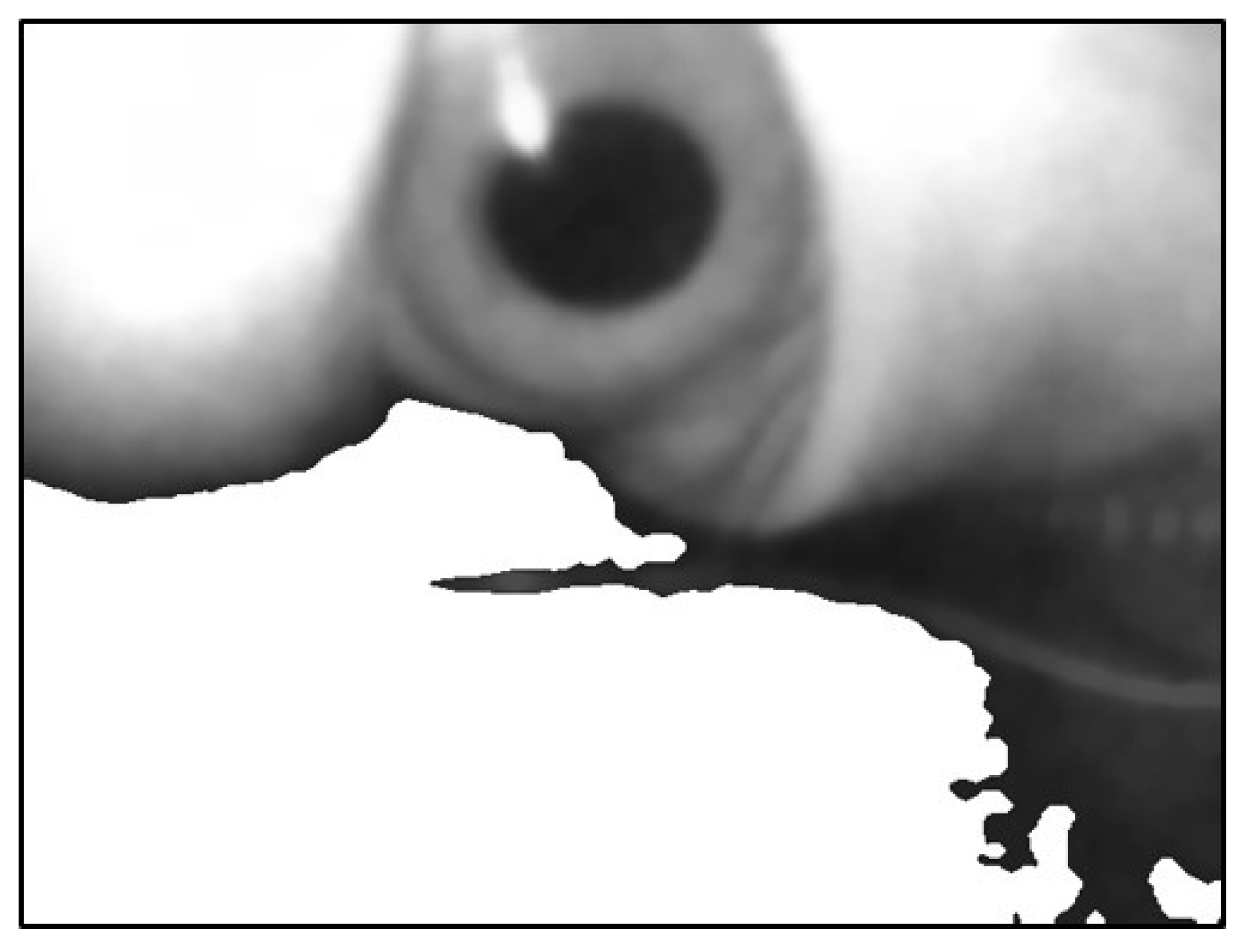 Sensors 20 01917 g022