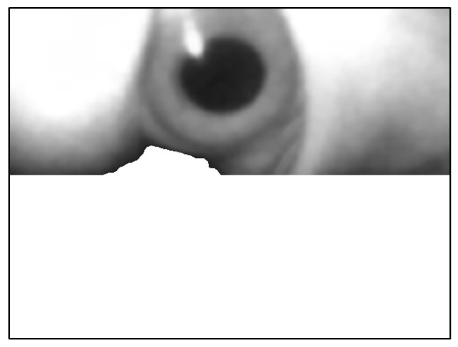 Sensors 20 01917 g024