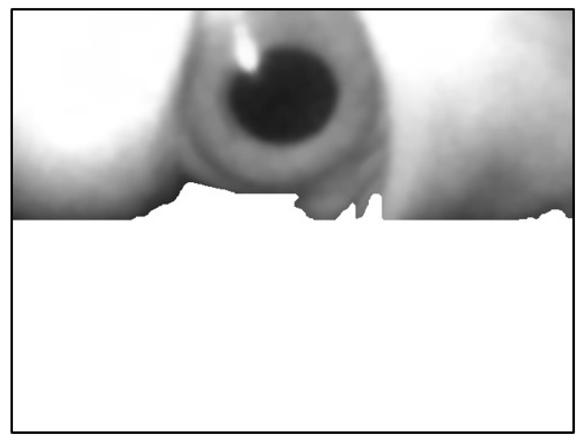 Sensors 20 01917 g025