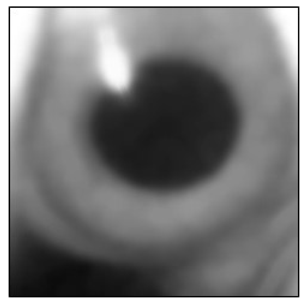 Sensors 20 01917 g036