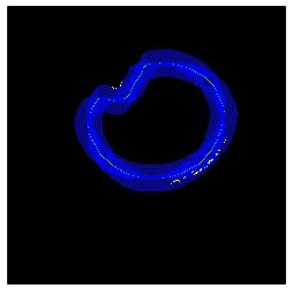 Sensors 20 01917 g038