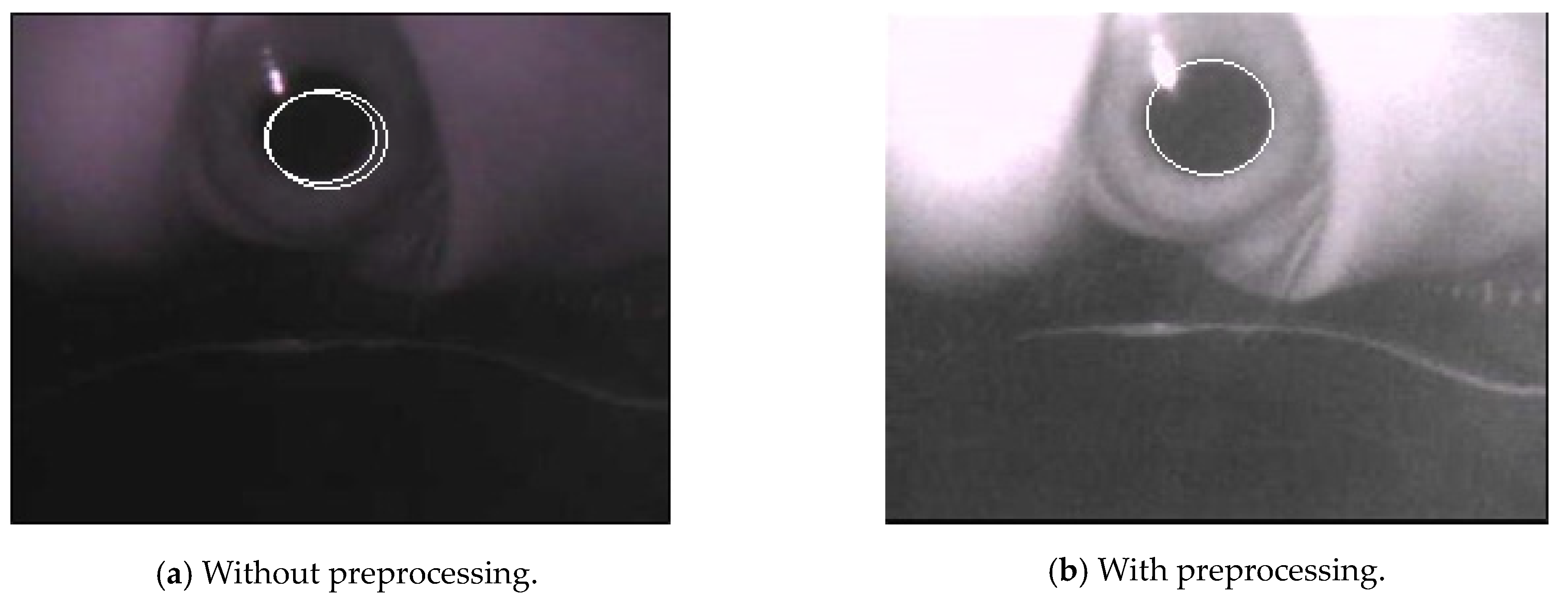 Sensors 20 01917 g042