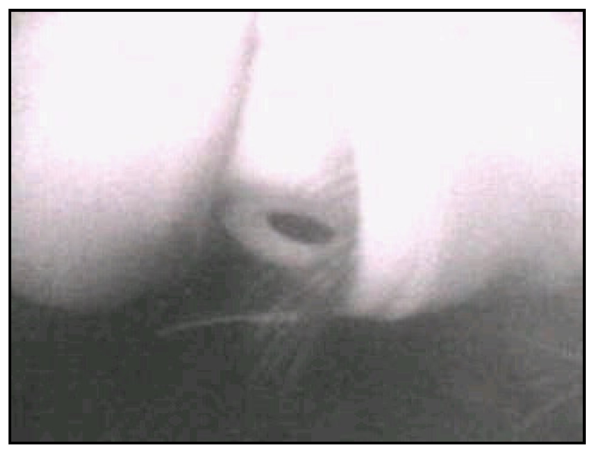 Sensors 20 01917 g052