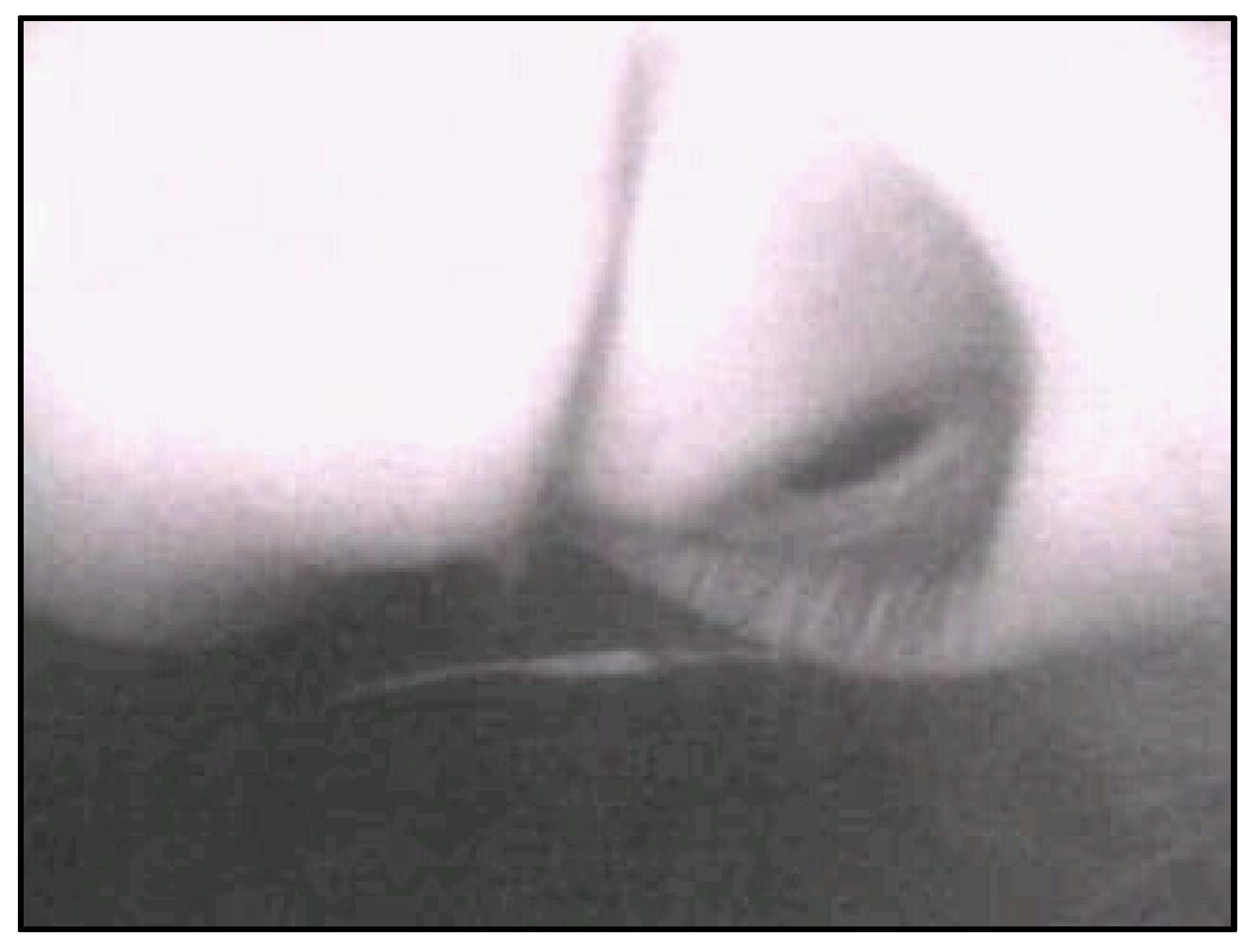 Sensors 20 01917 g053