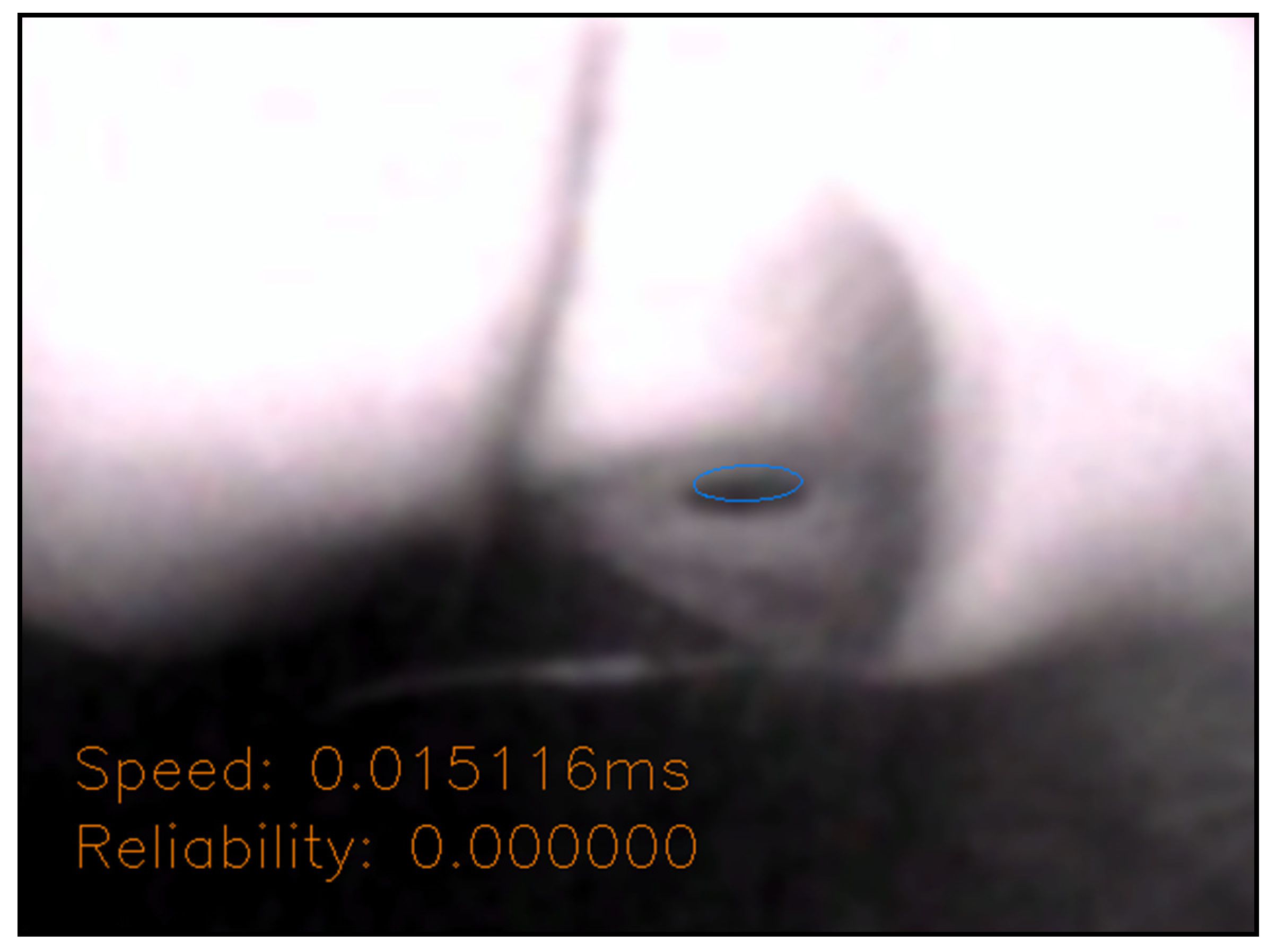 Sensors 20 01917 g054