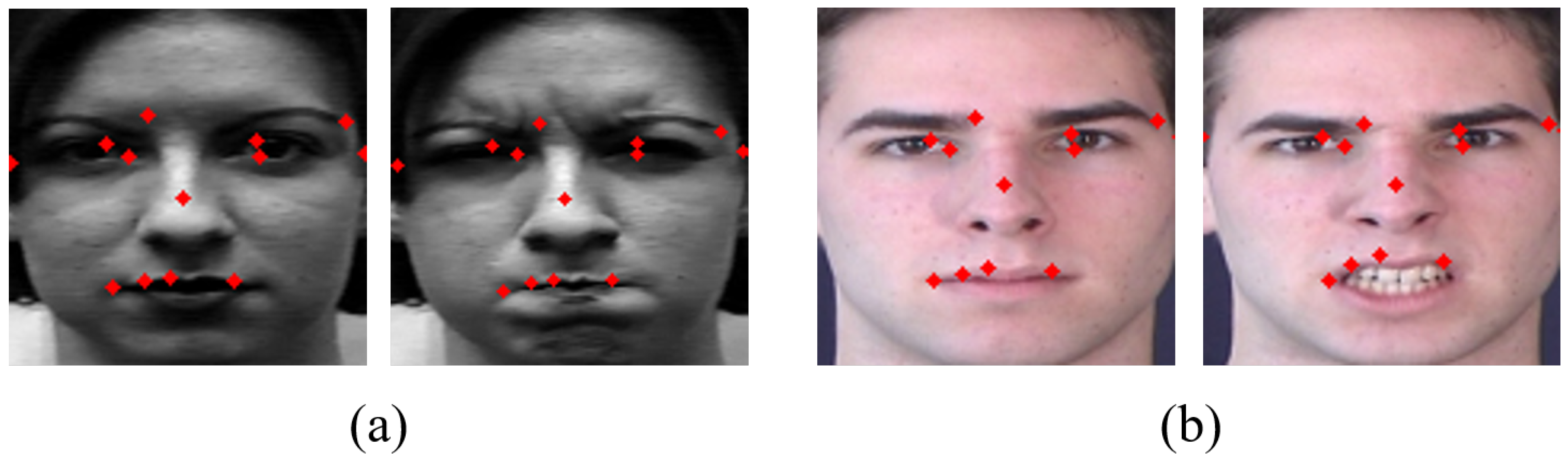 Sensors 20 01936 g008