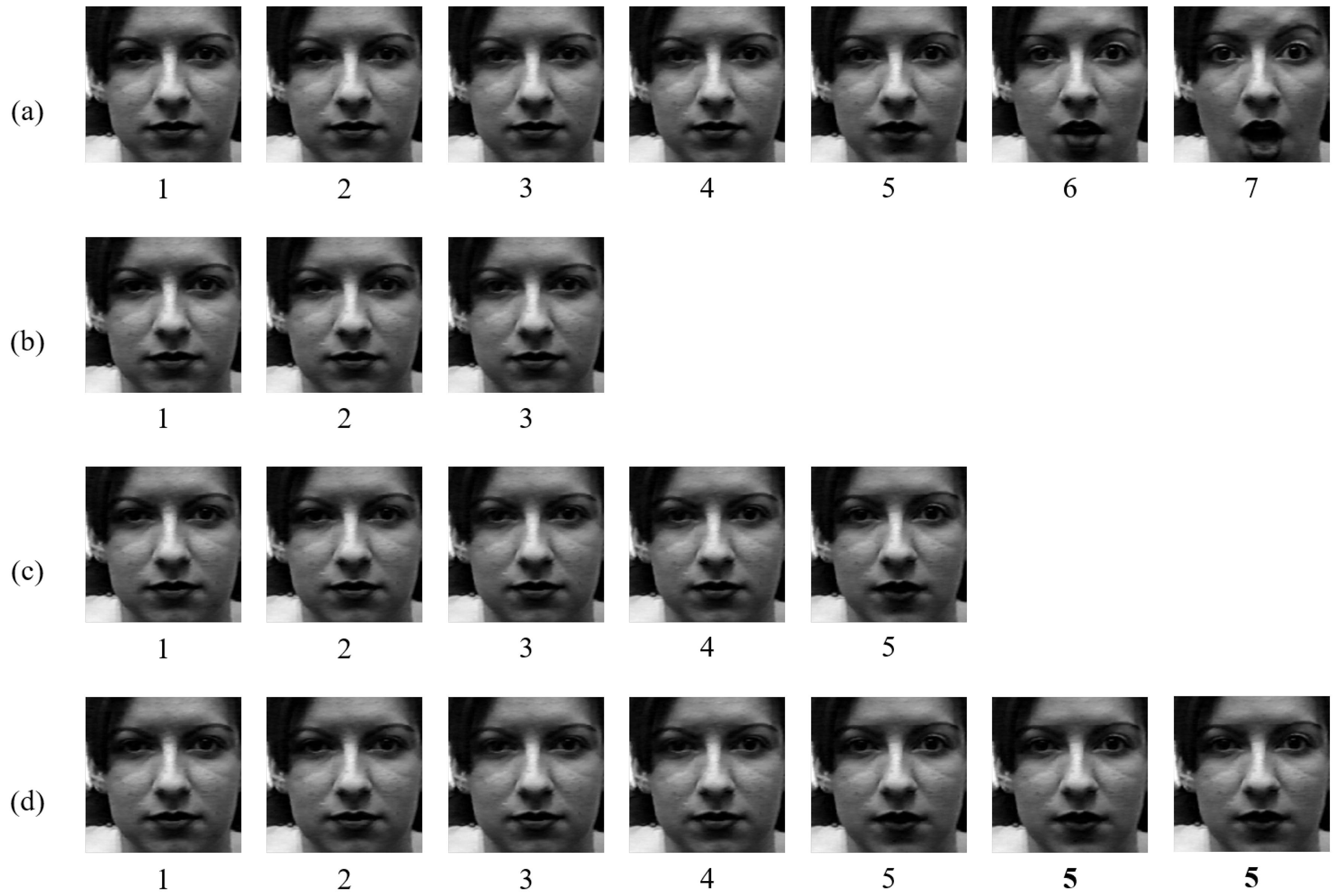 Sensors 20 01936 g013