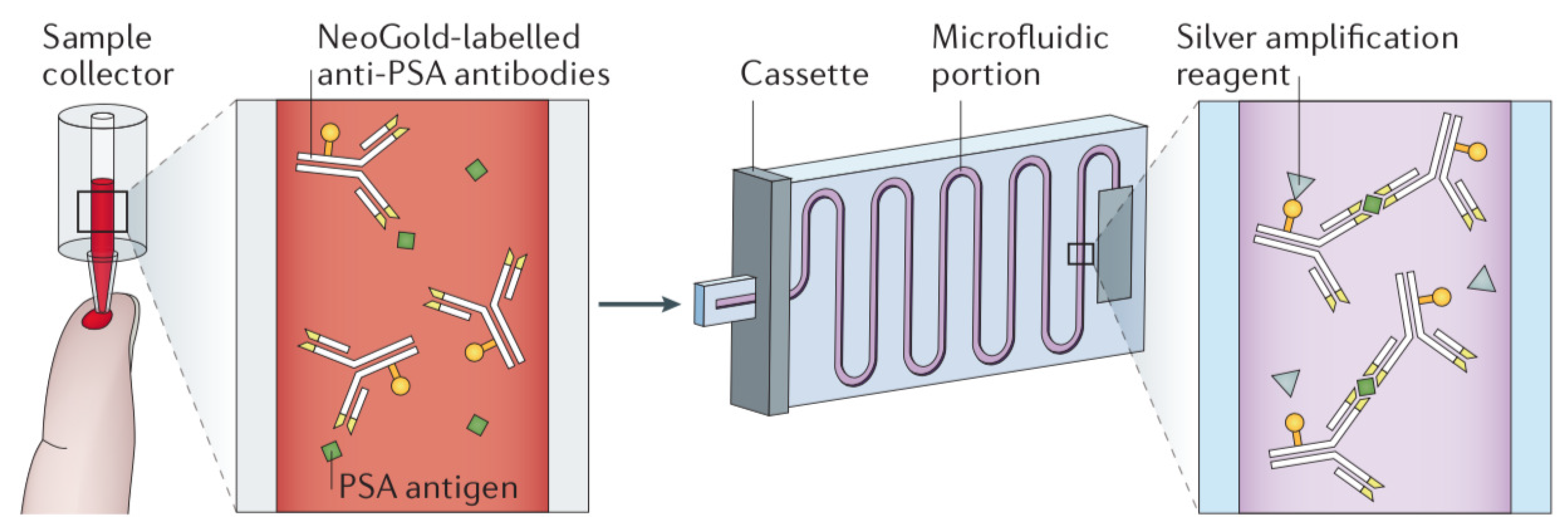 Sensors 20 01951 g004