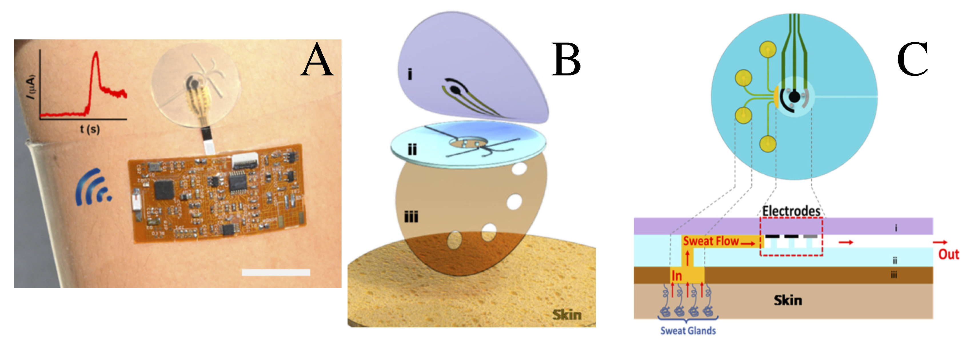 Sensors 20 01951 g007
