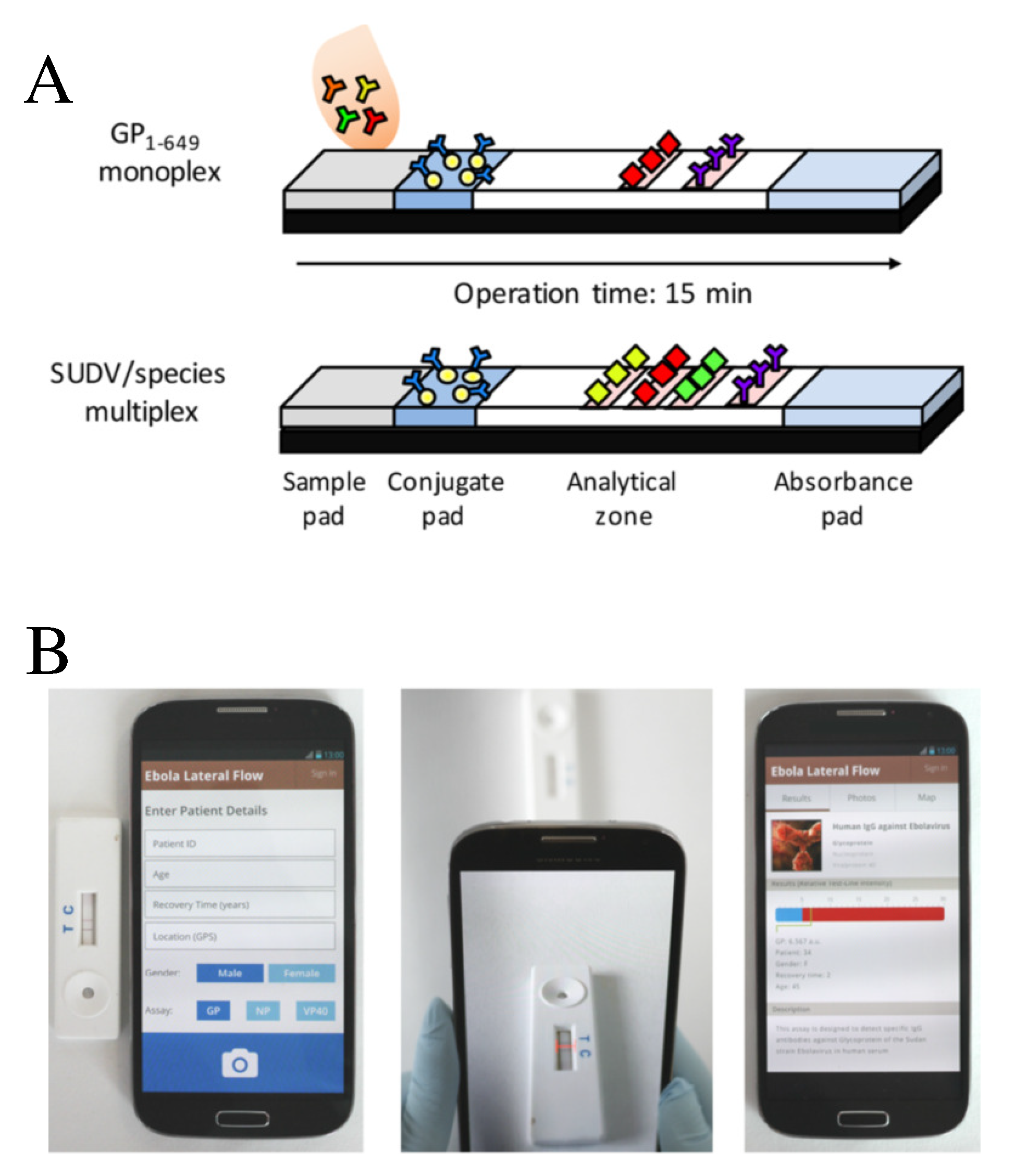 Sensors 20 01951 g009