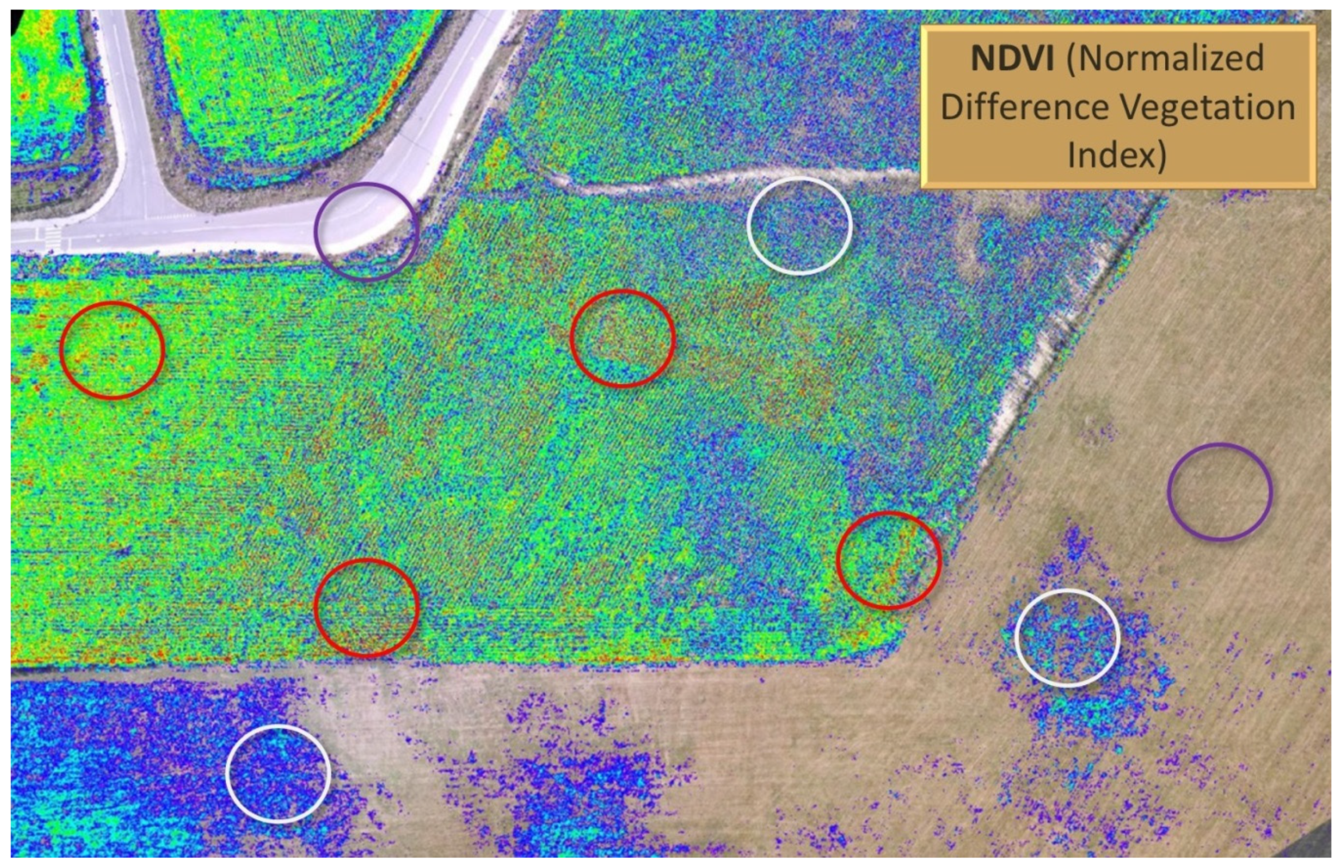 Sensors 20 02003 g014