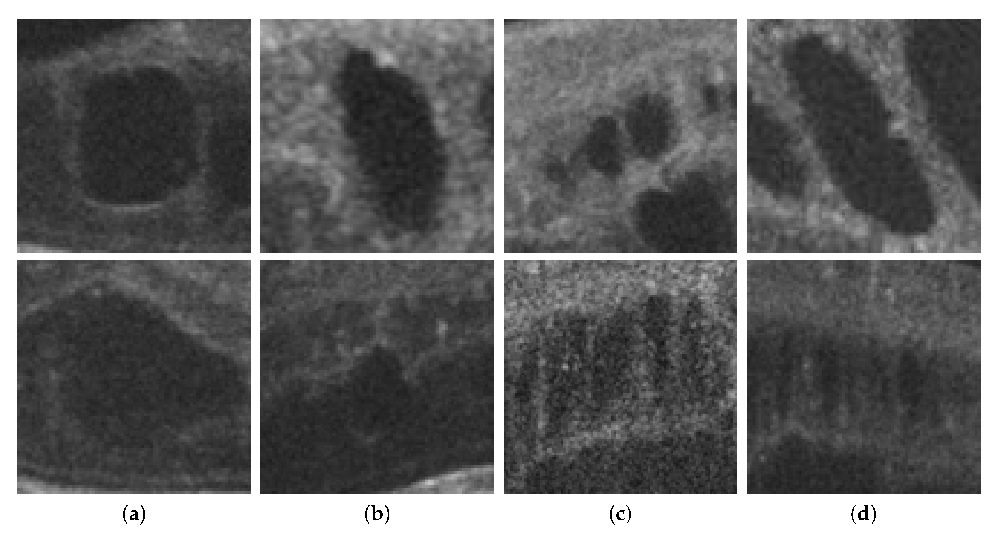 Sensors 20 02004 g002