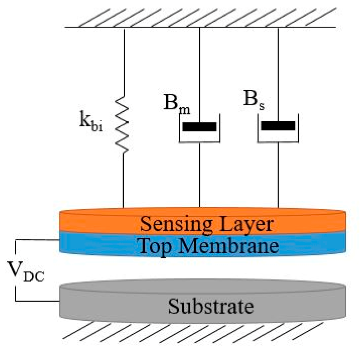 Sensors 20 02010 g006