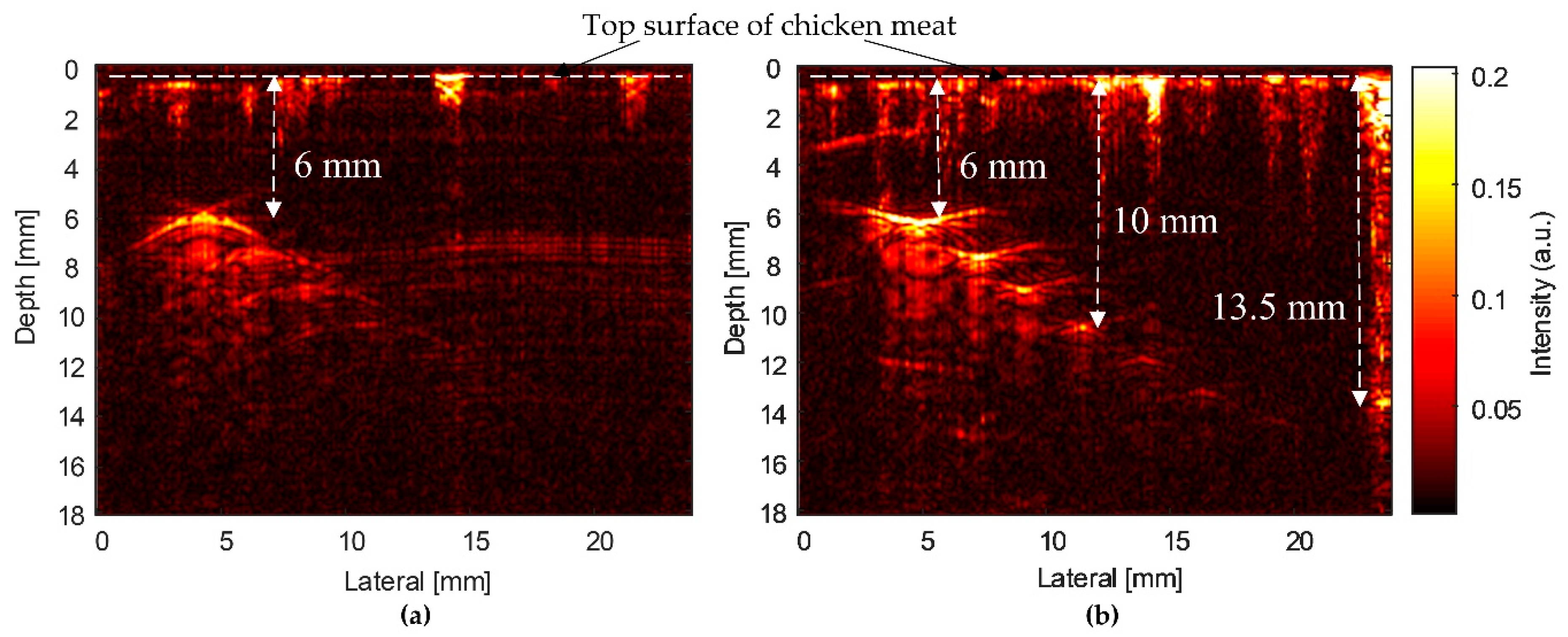 Sensors 20 02020 g015