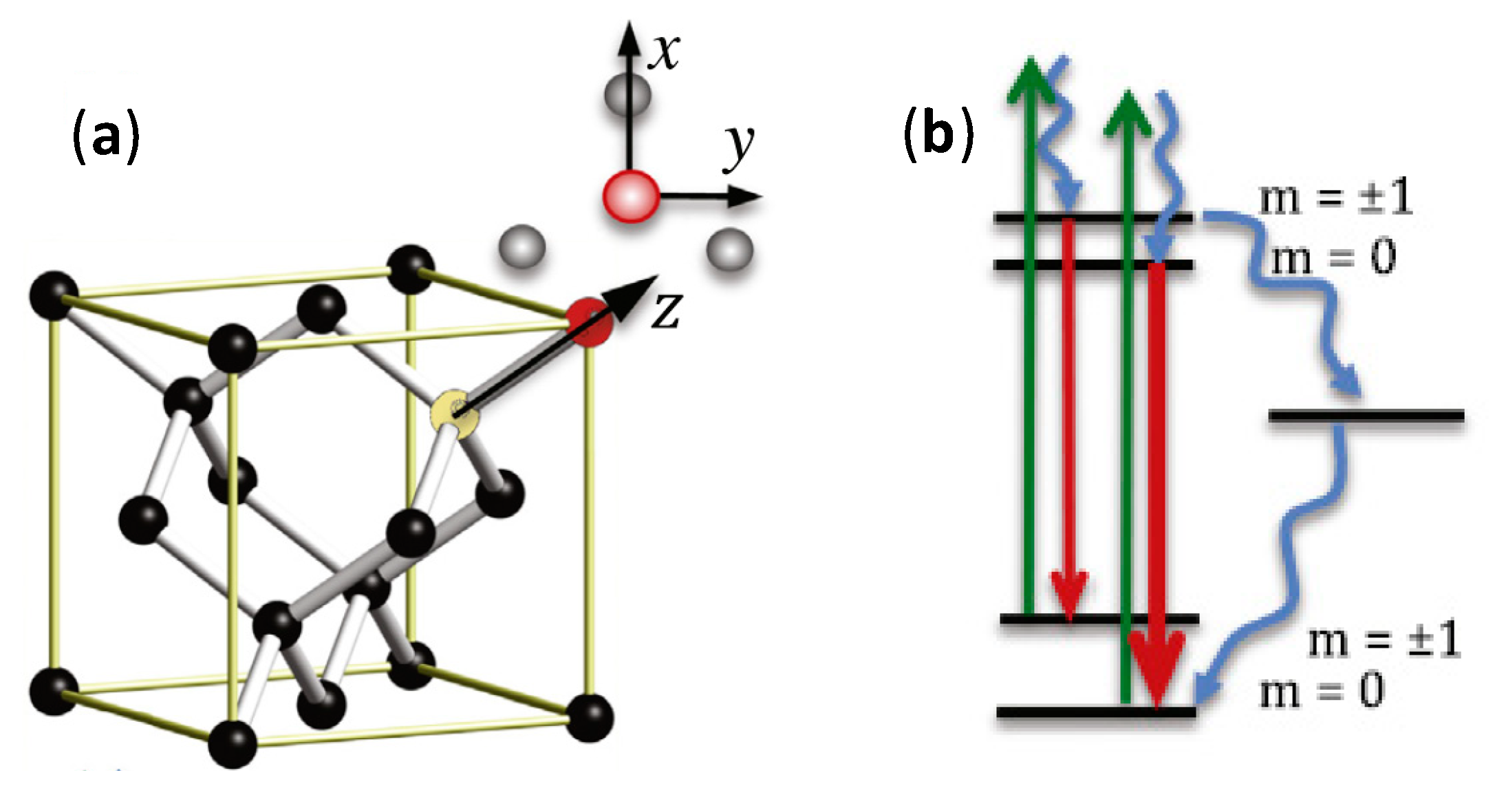 Sensors 20 02046 g002