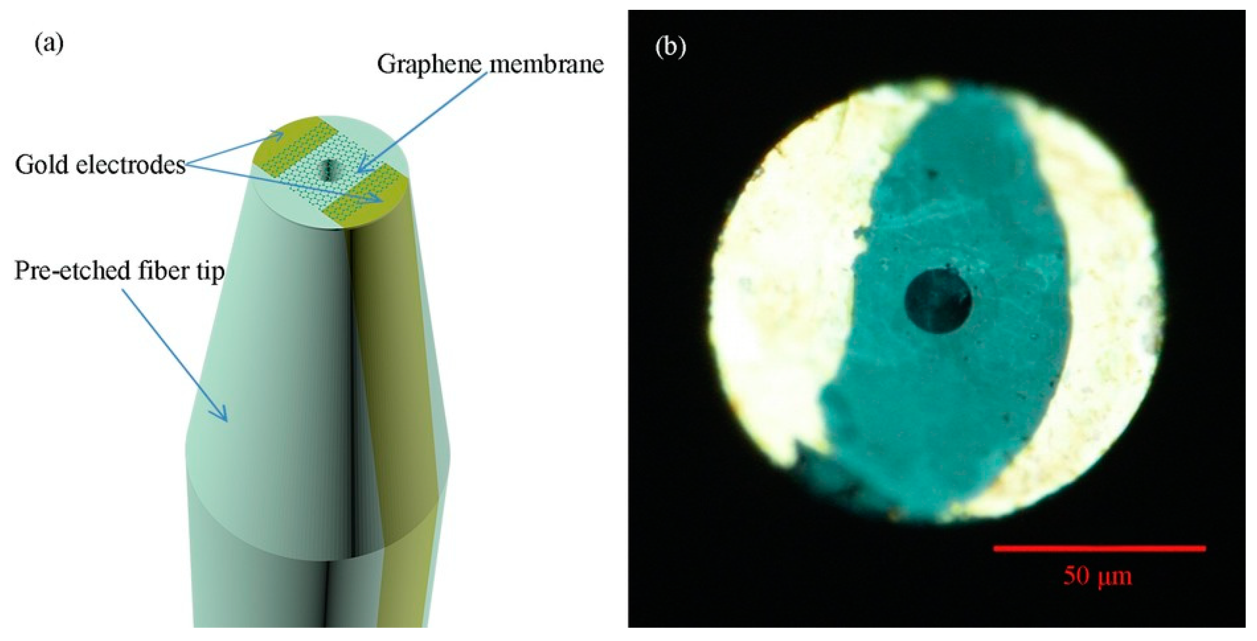 Sensors 20 02046 g006