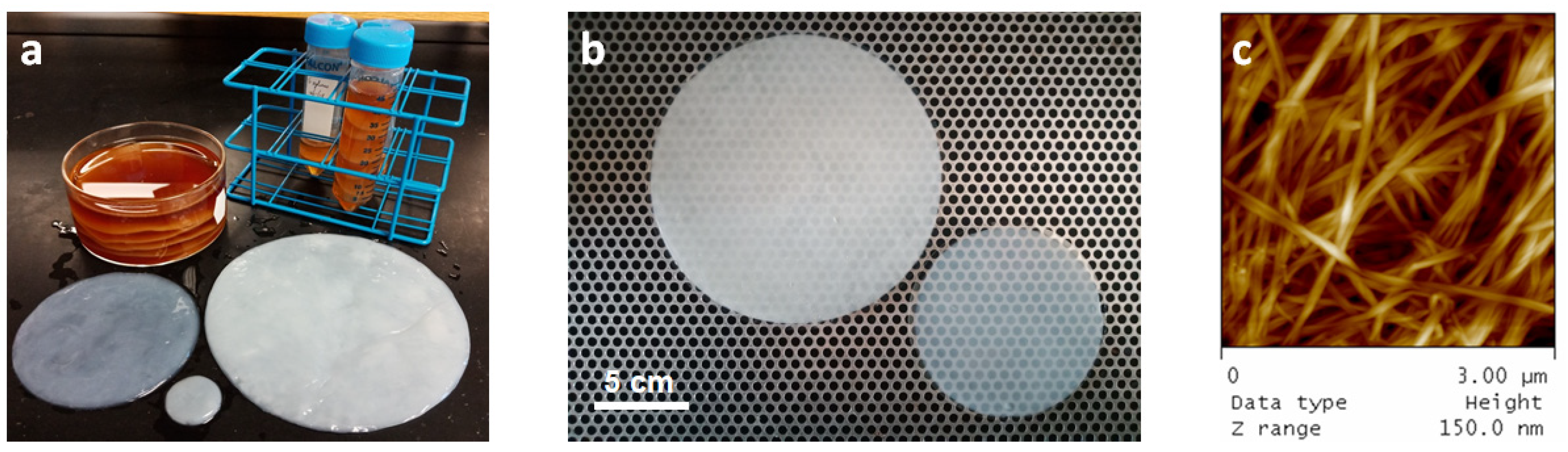 Sensors 20 02047 g001