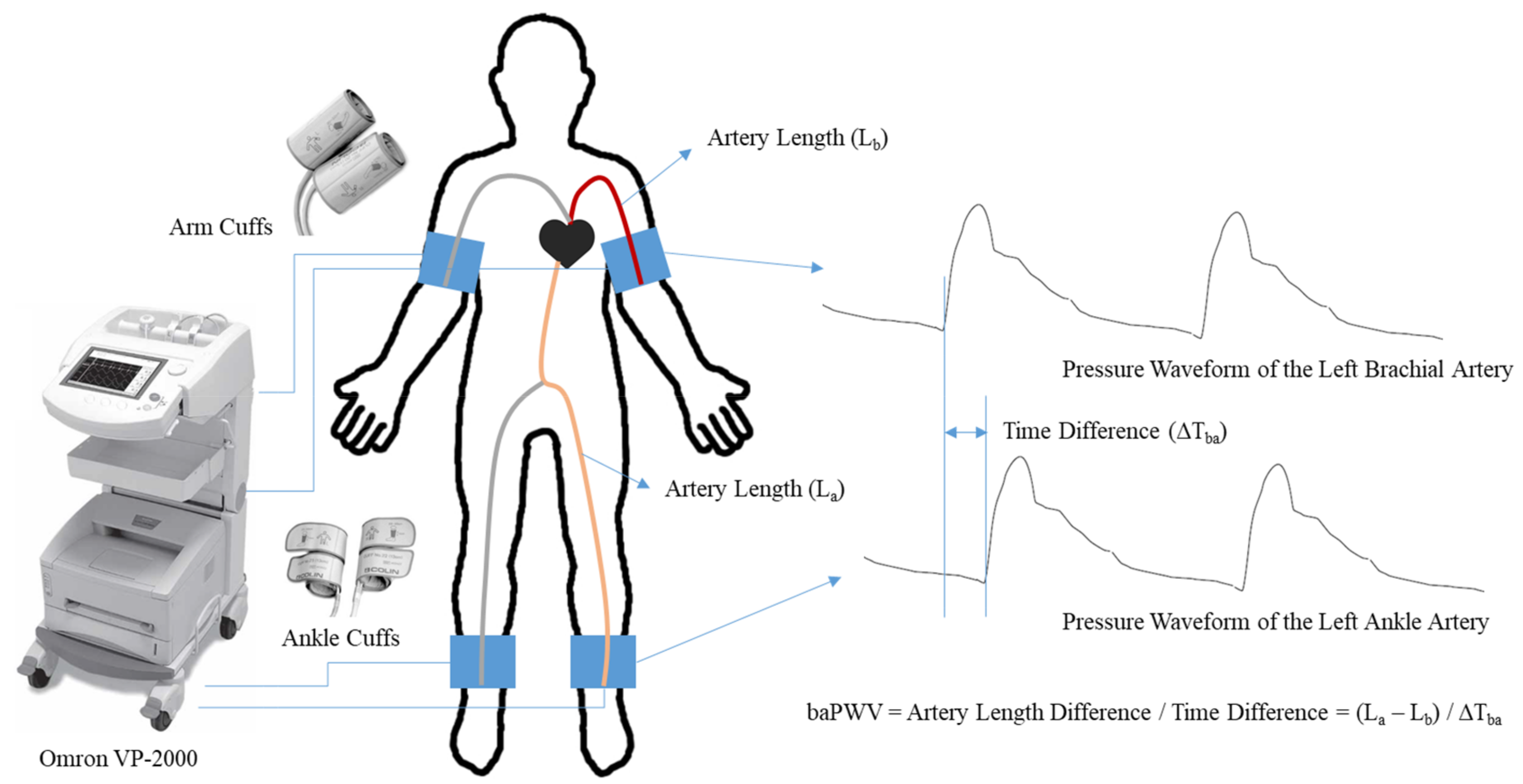 Sensors 20 02073 g001