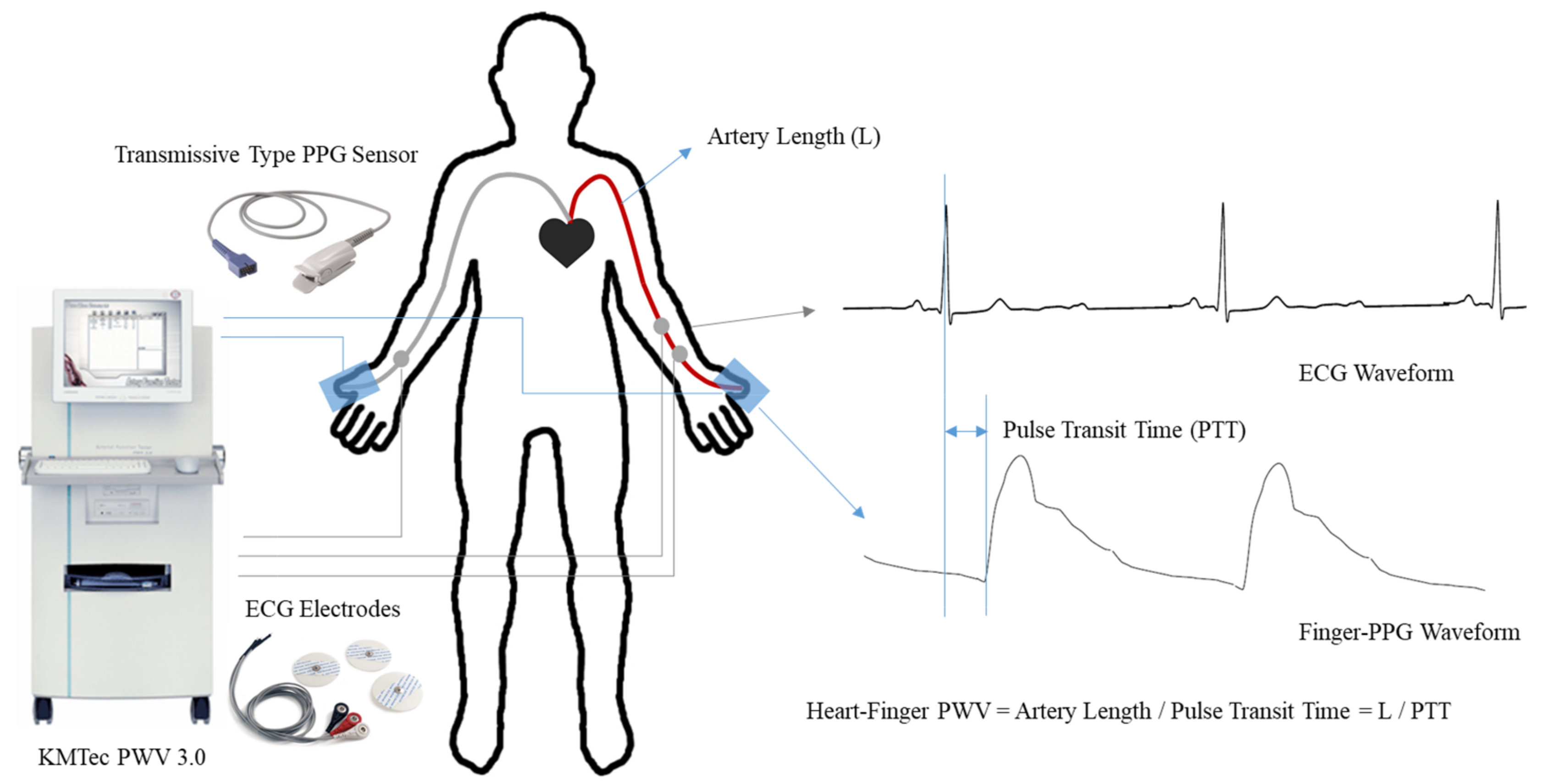 Sensors 20 02073 g002
