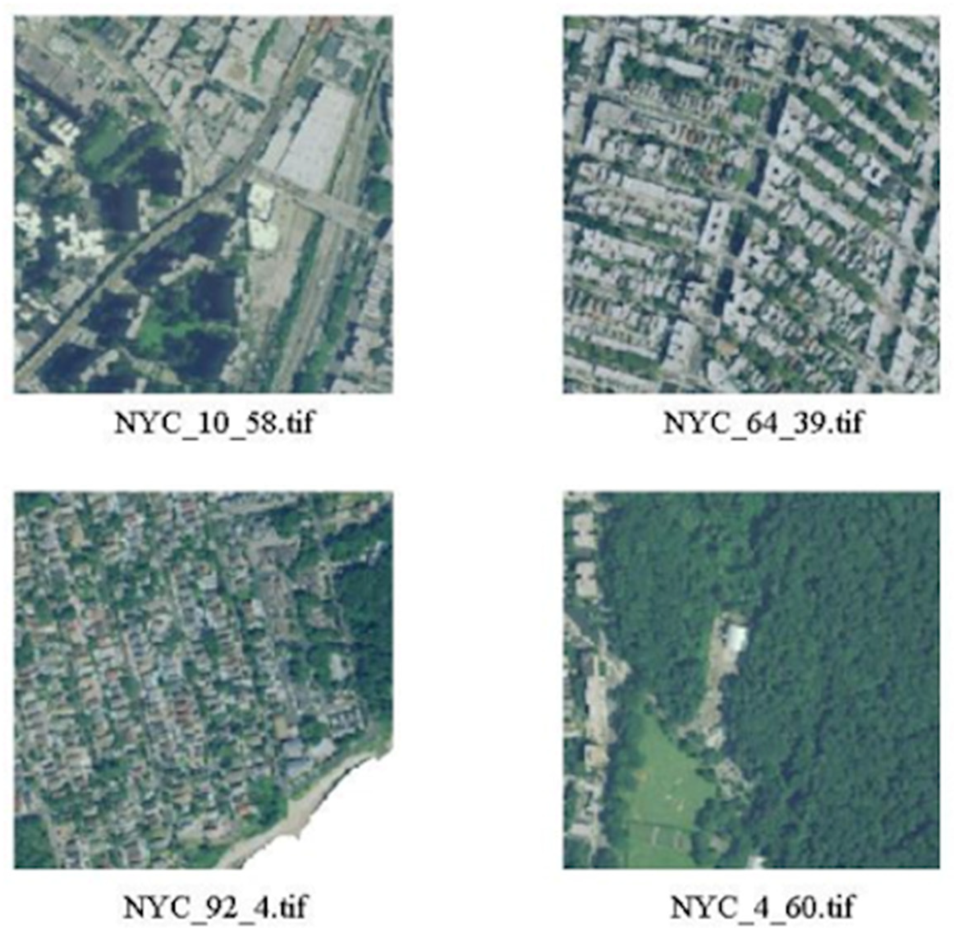 Sensors 20 02105 g005