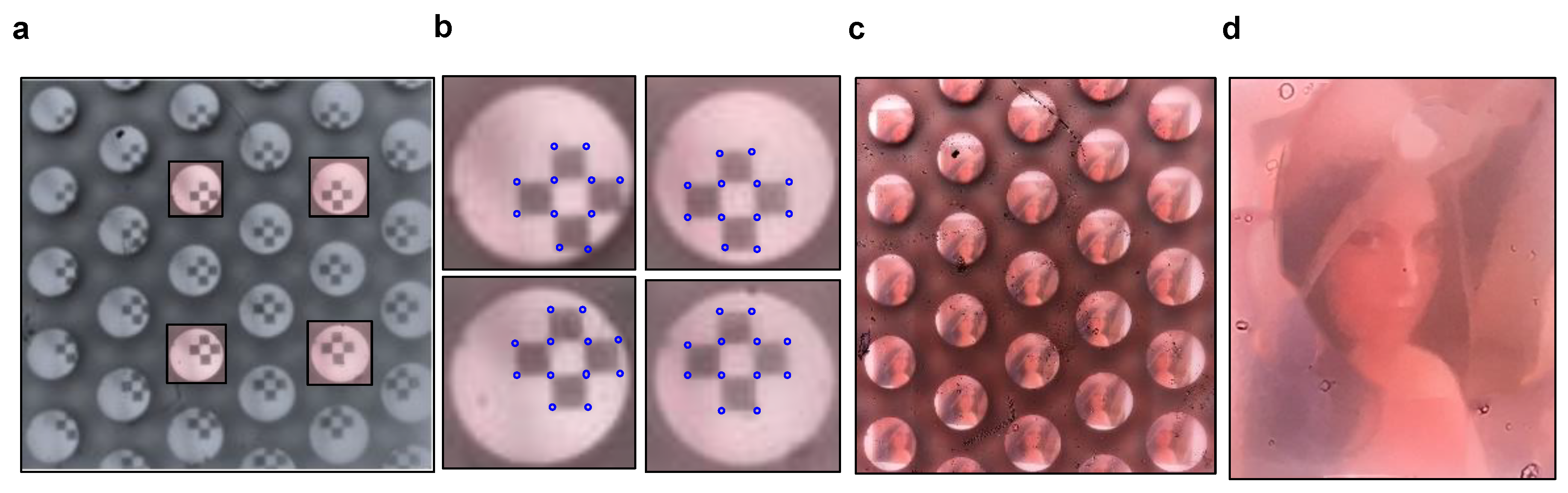 Sensors 20 02129 g004