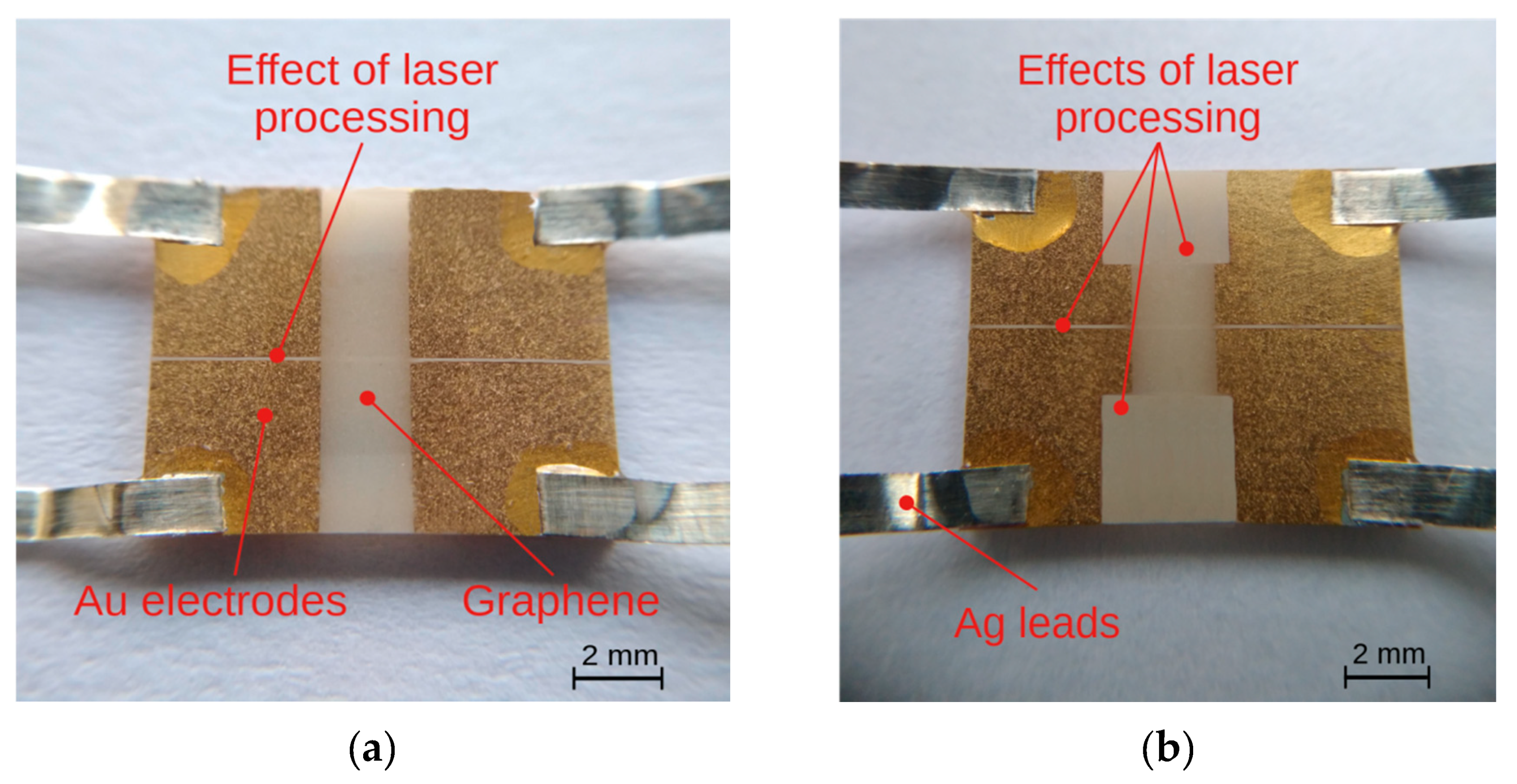 Sensors 20 02134 g007