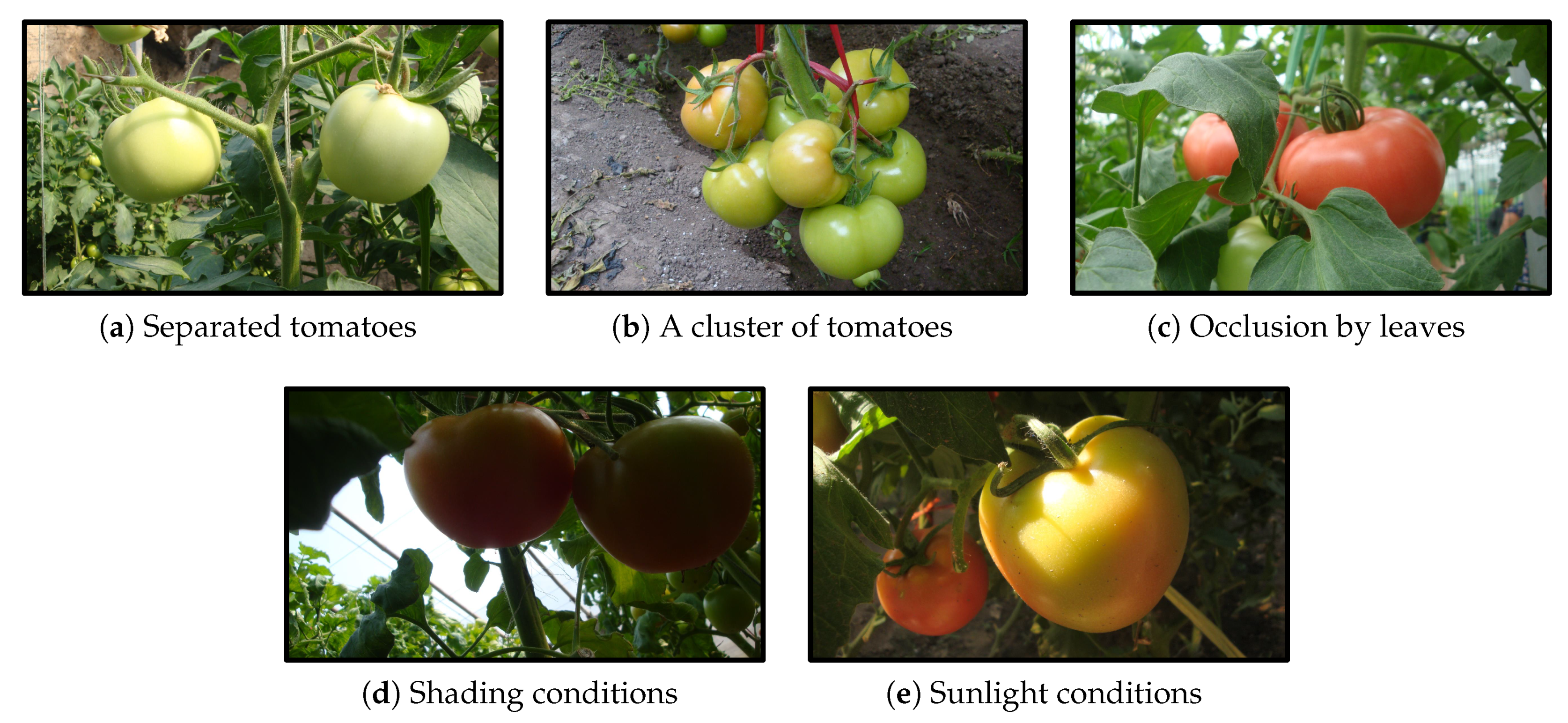 Sensors 20 02145 g003