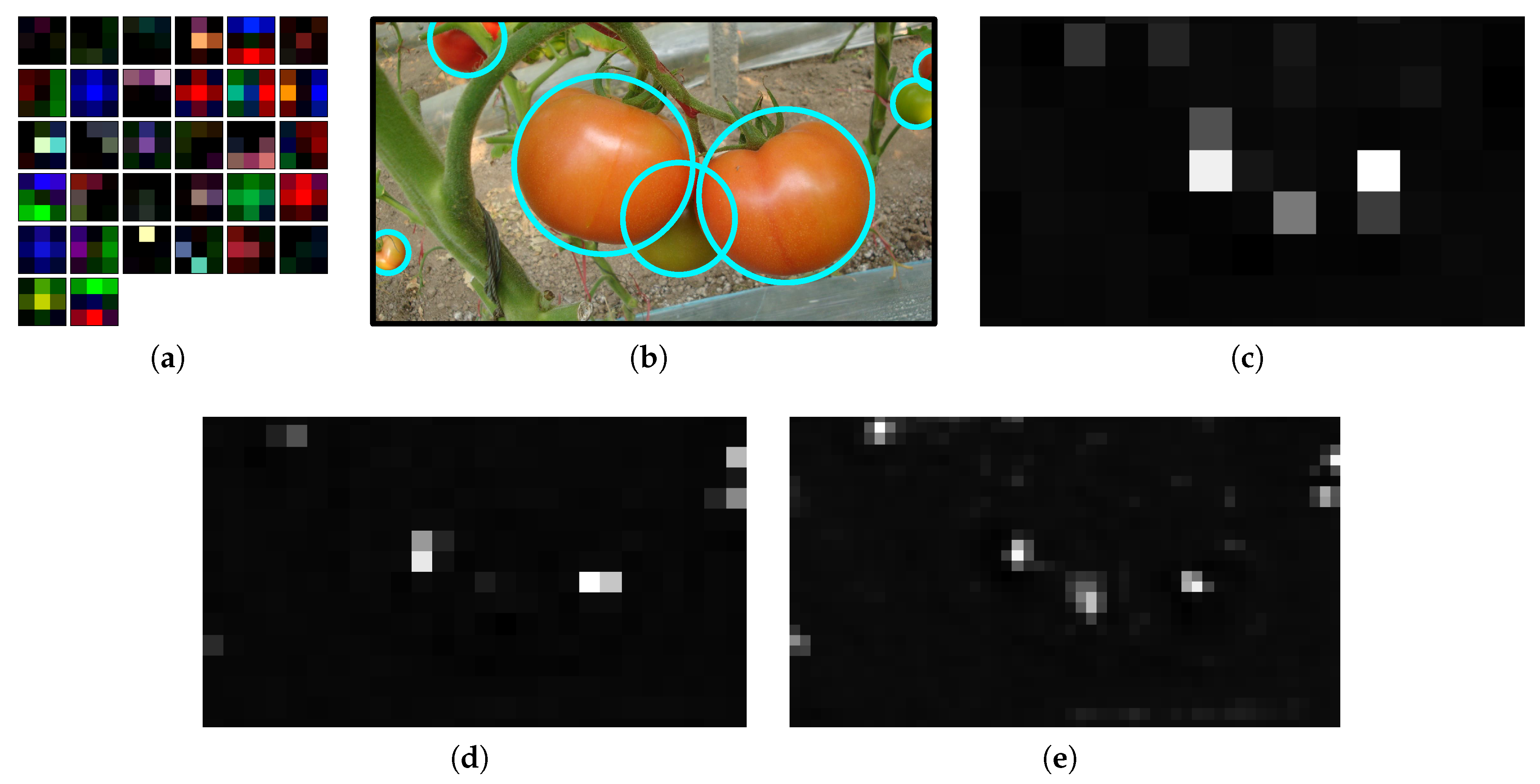 Sensors 20 02145 g012