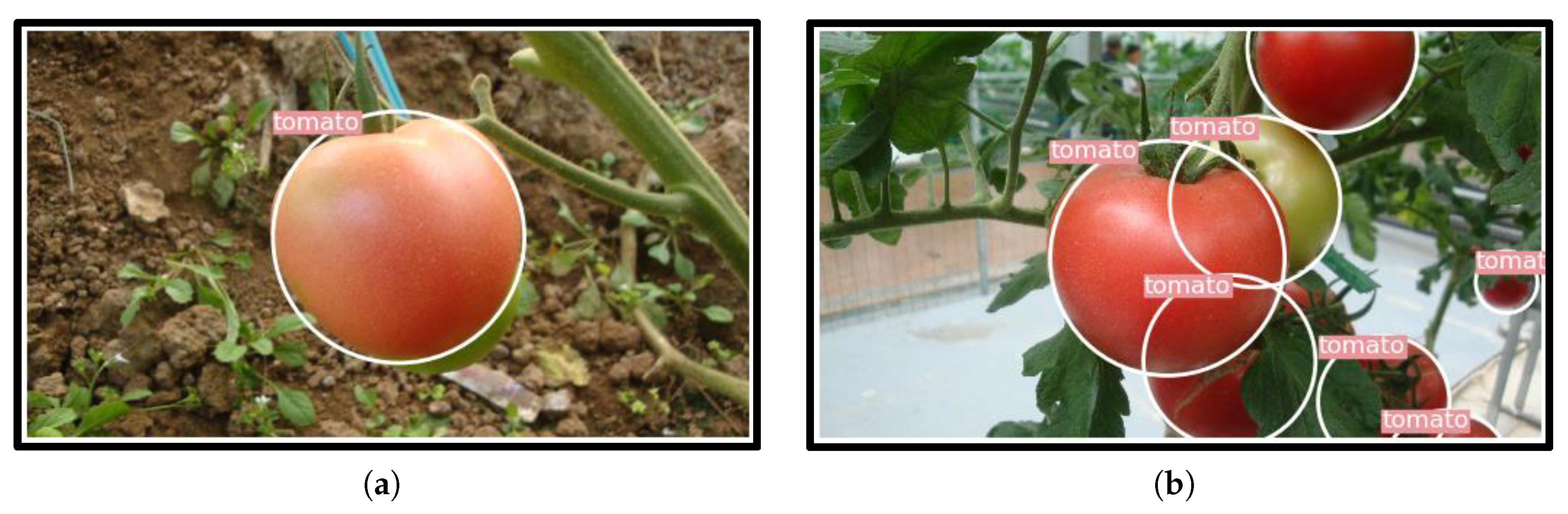 Sensors 20 02145 g015