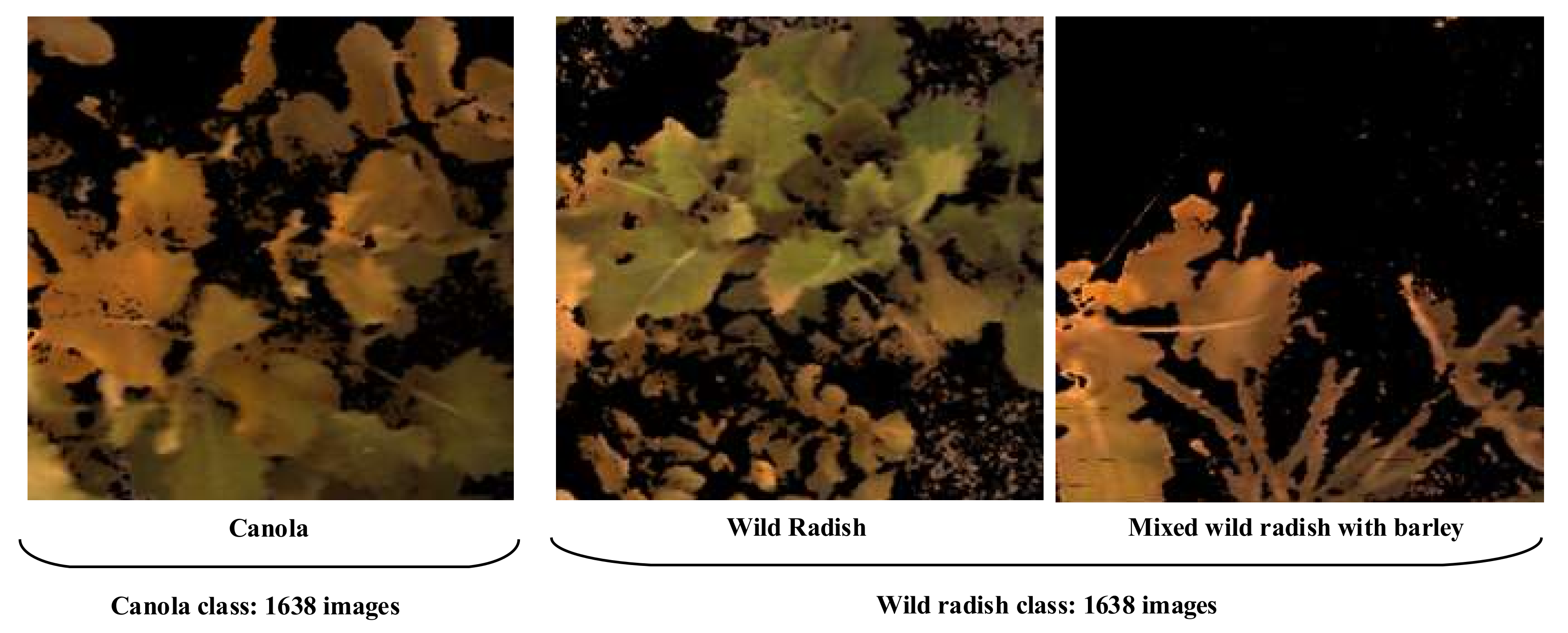 Sensors 20 02193 g006