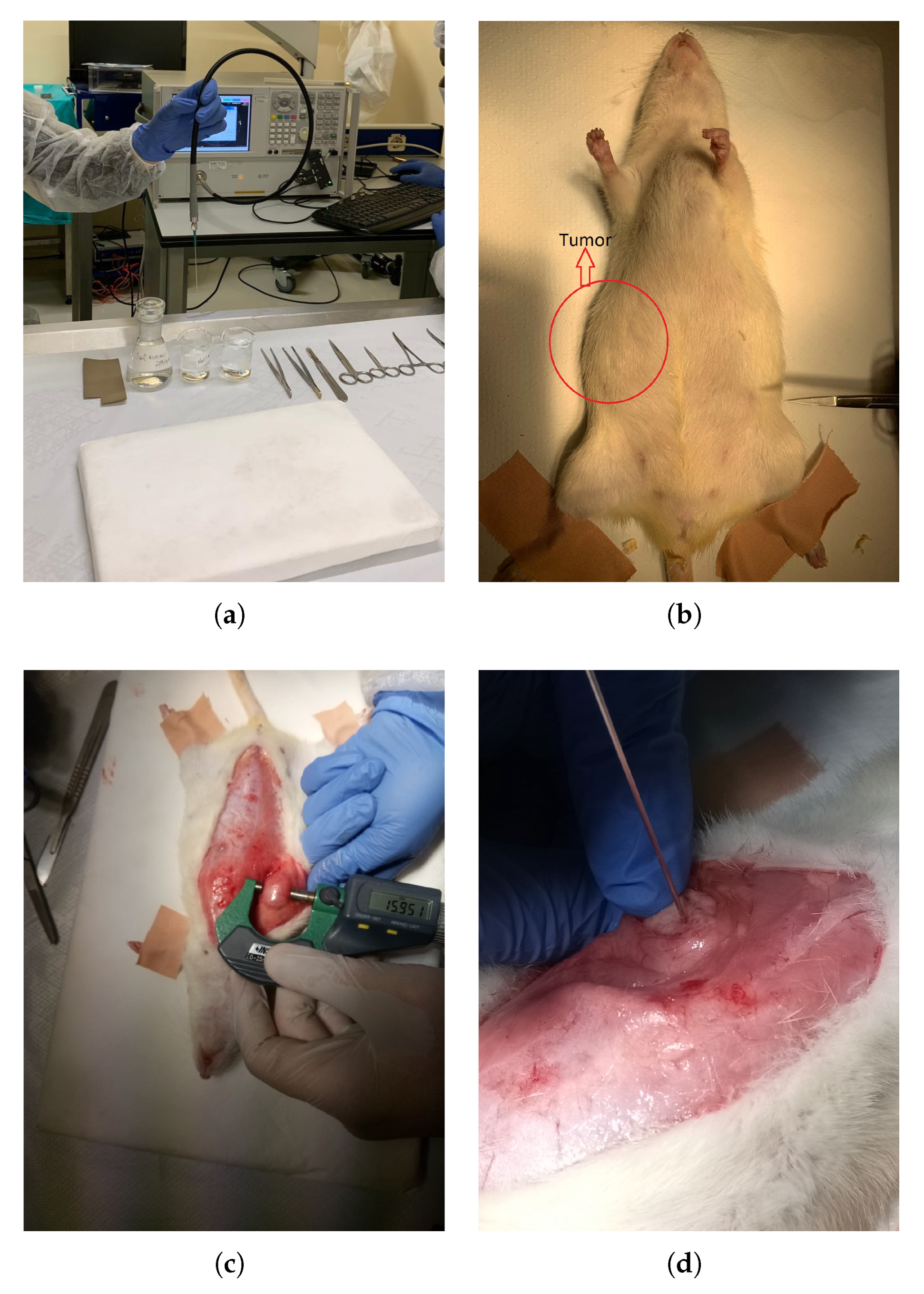 Sensors 20 02214 g001