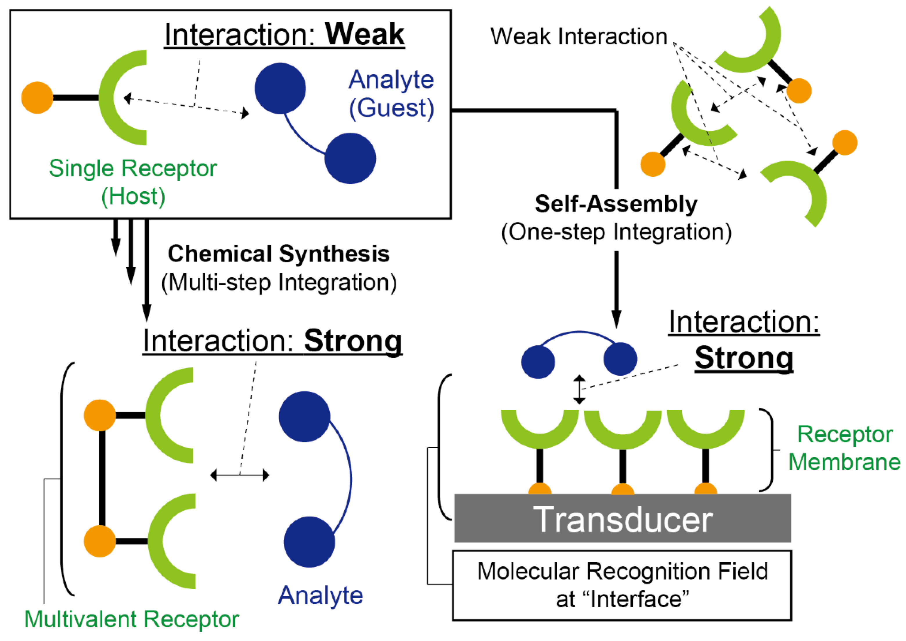 Sensors 20 02228 g001