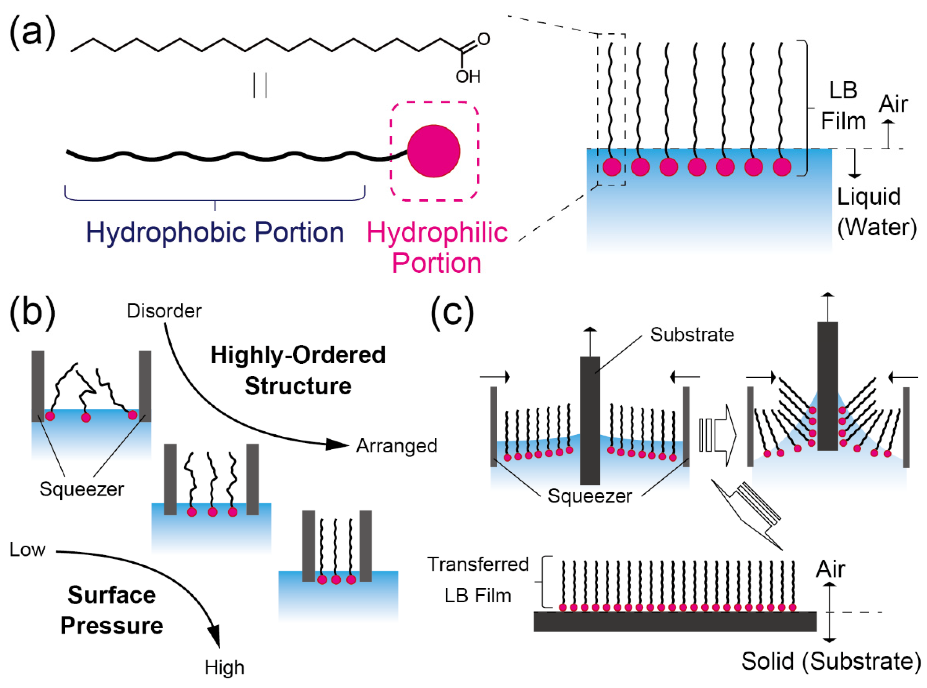 Sensors 20 02228 g002