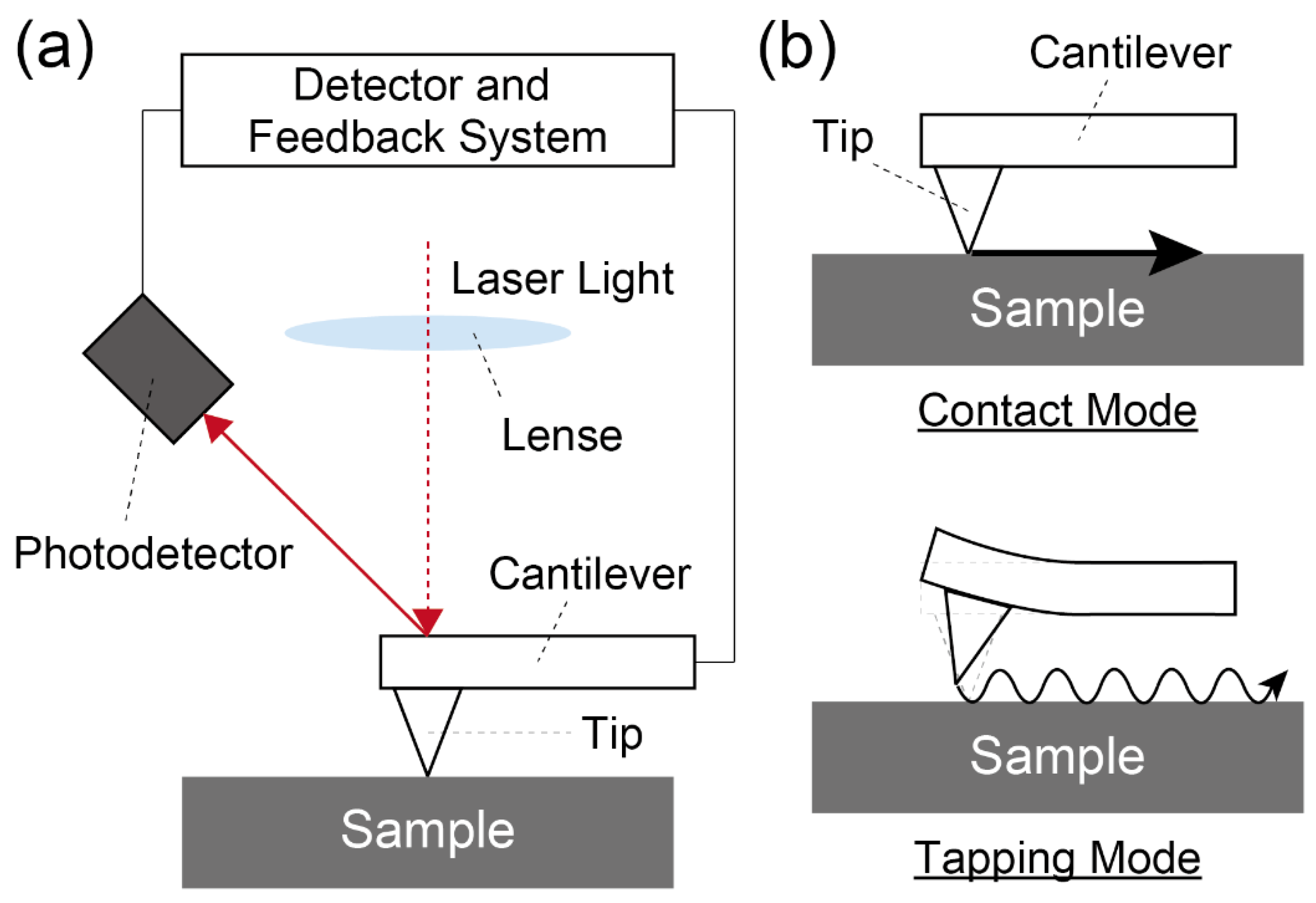 Sensors 20 02228 g006